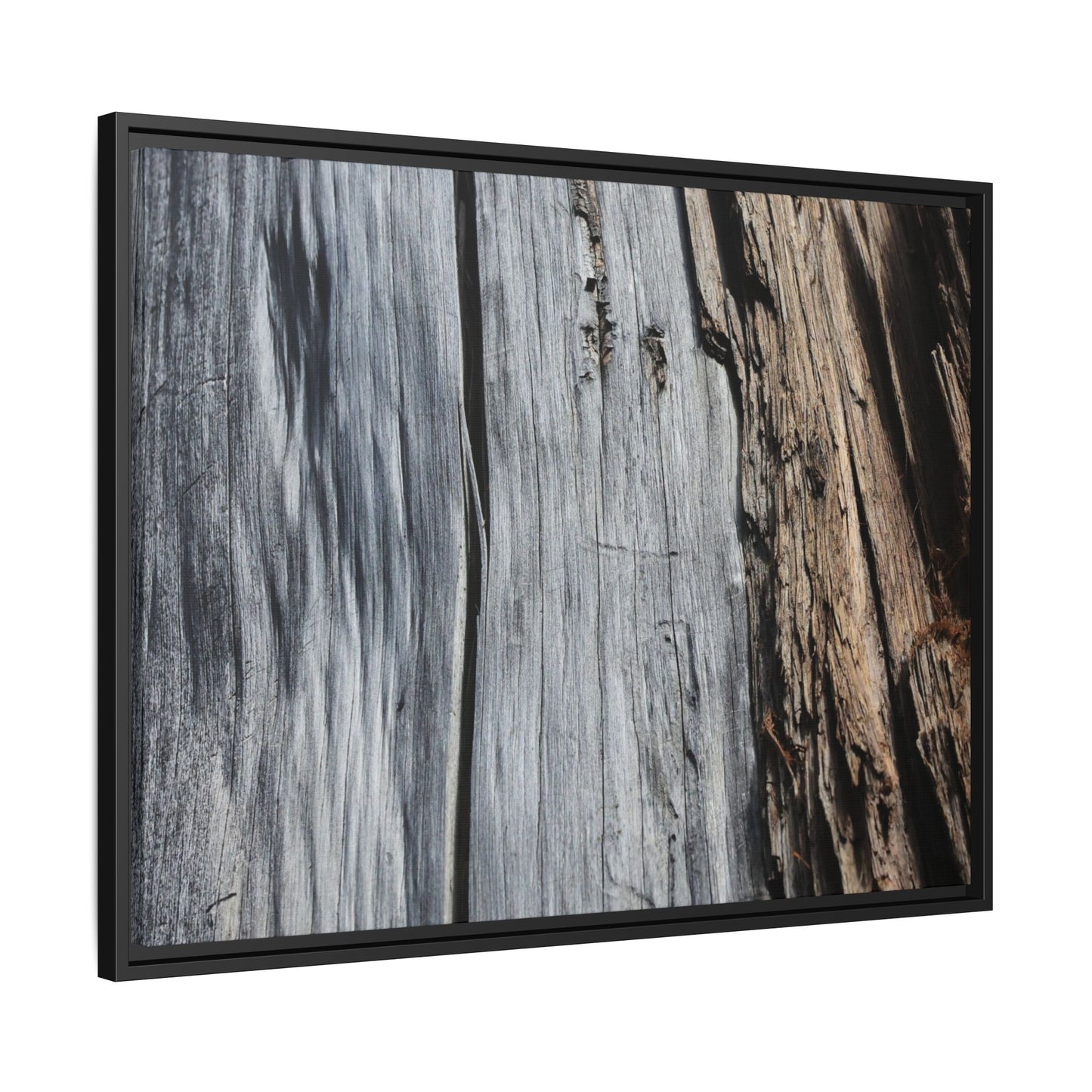 Wood's Lament - Unique Stretched Canvas Wall Art