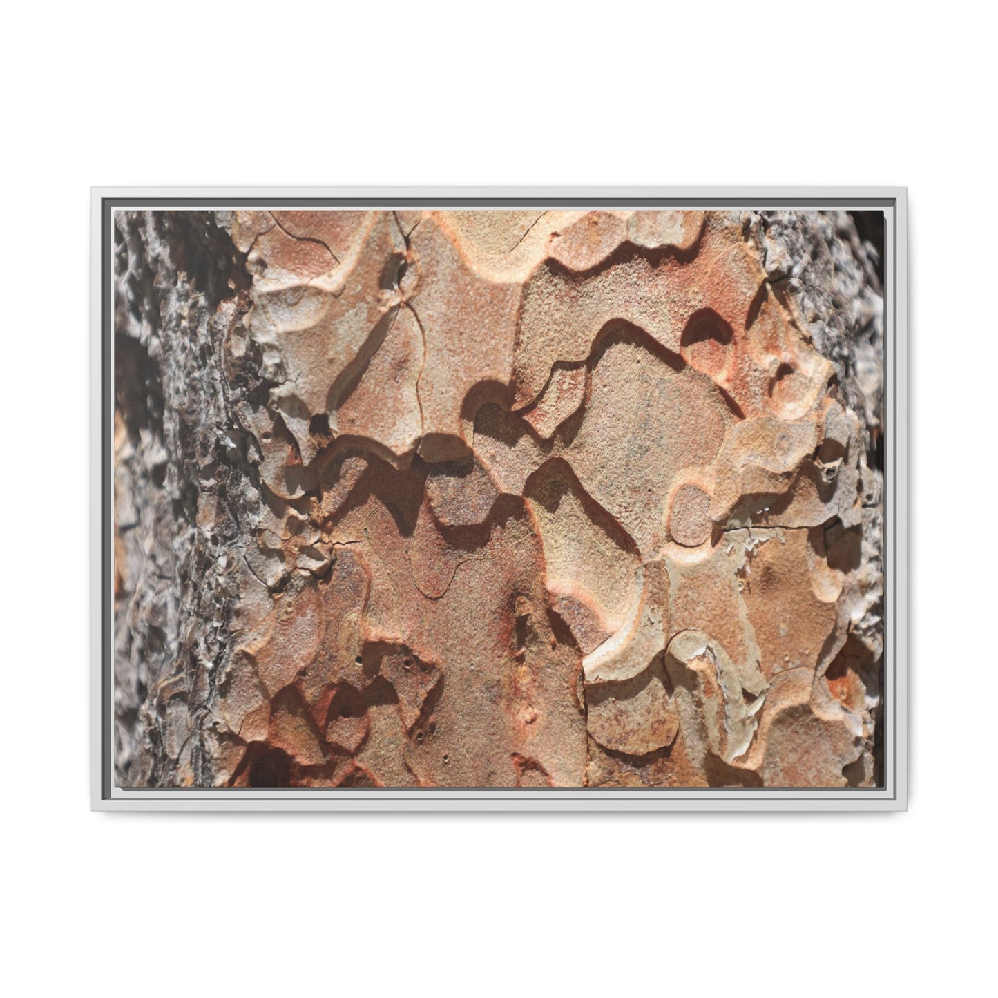 Rust and Stone - Unique Stretched Canvas Wall Art