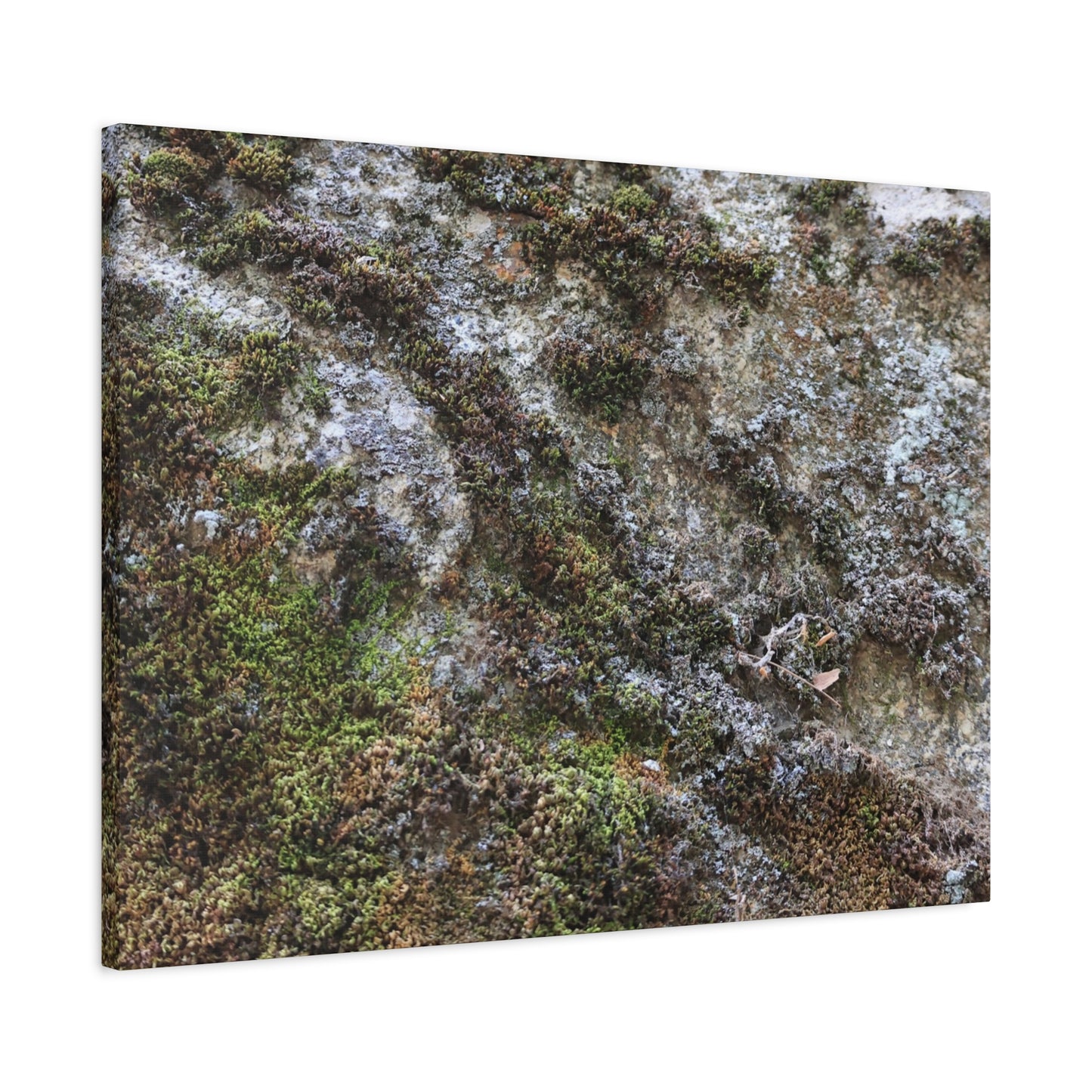 Moss Tapestry - Unique Frameless Canvas Wall Art