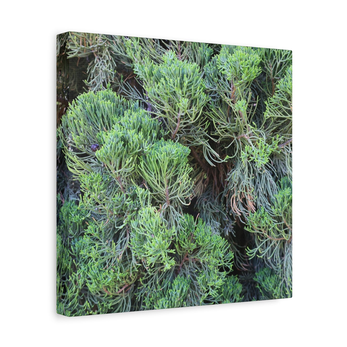Green Labyrinth - Unique Frameless Canvas Wall Art