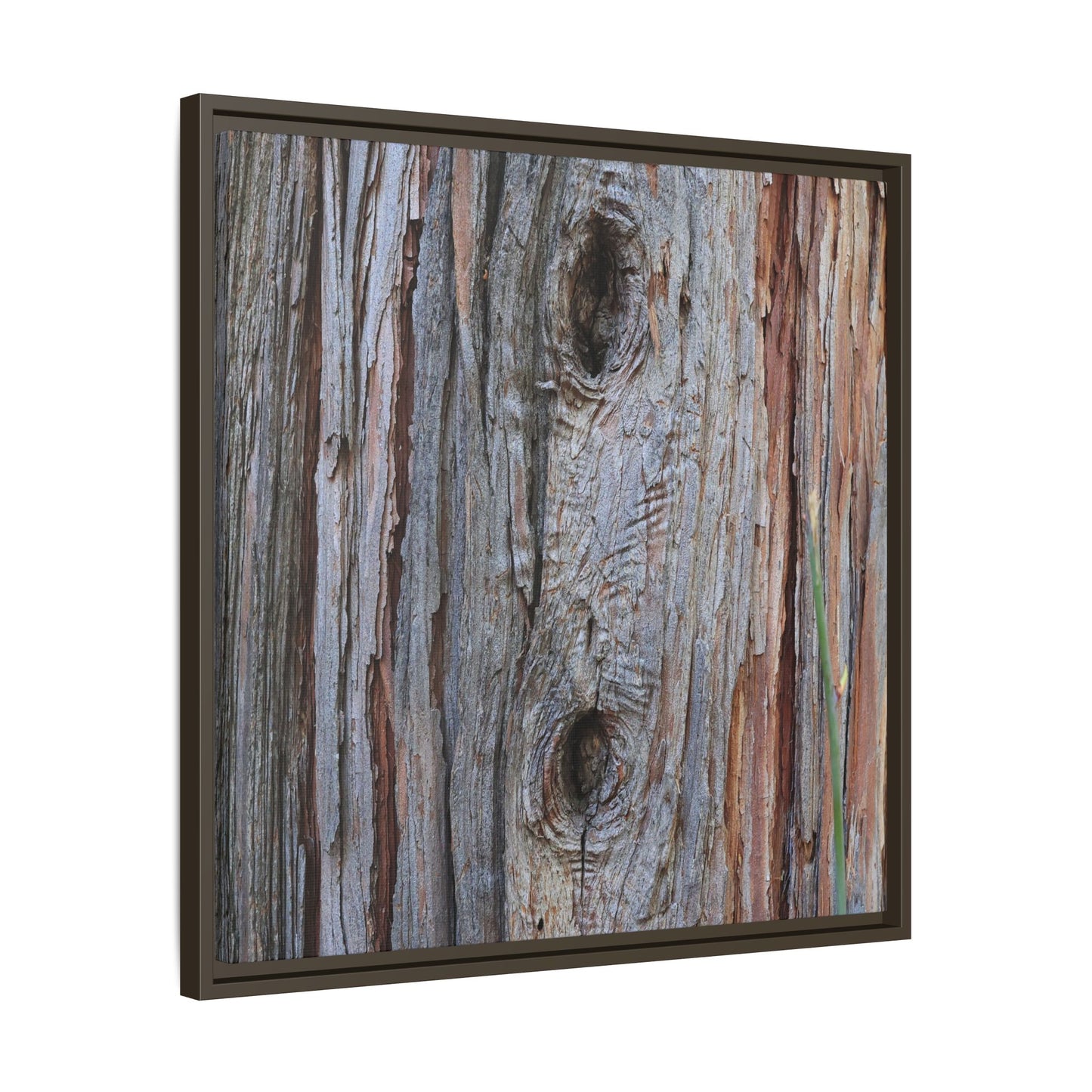 Knotty Nature - Unique Stretched Canvas Wall Art