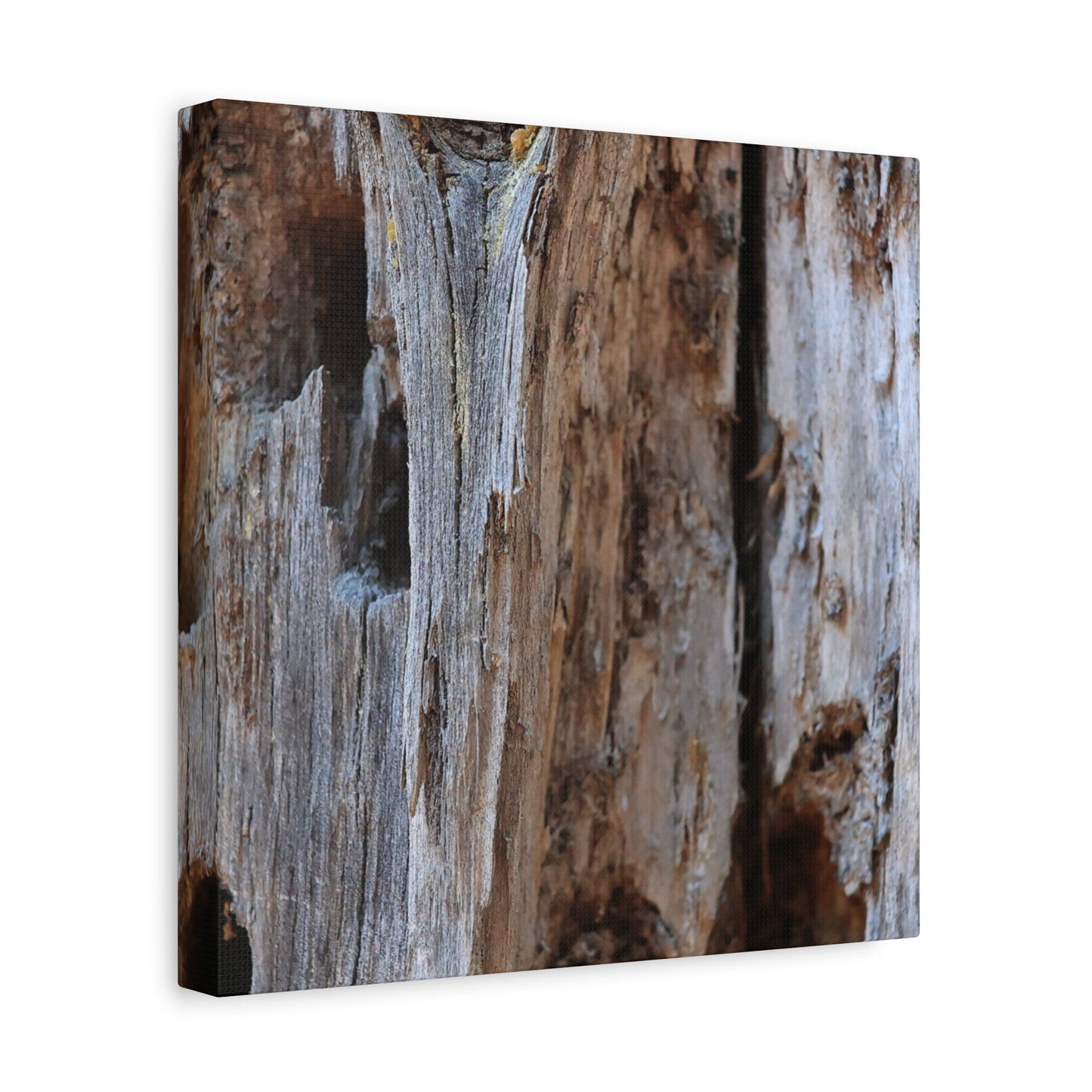 Timber Tapestry - Unique Frameless Canvas Wall Art