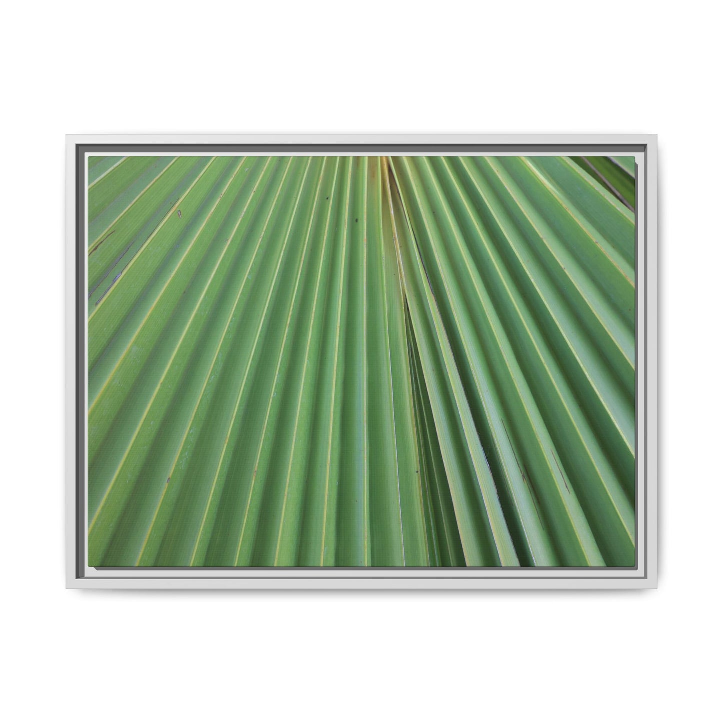 Verdant Veins - Unique Stretched Canvas Wall Art