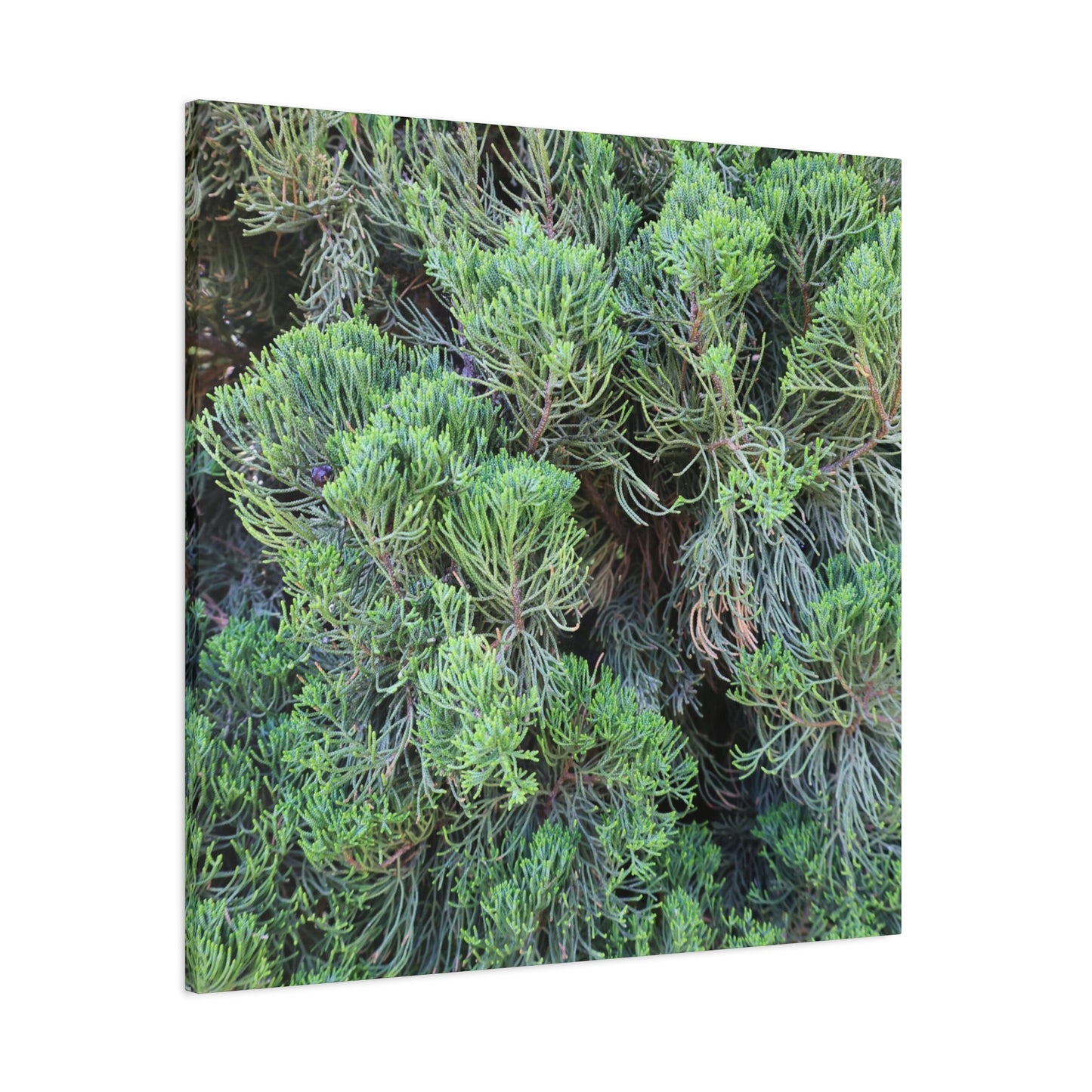 Green Labyrinth - Unique Frameless Canvas Wall Art