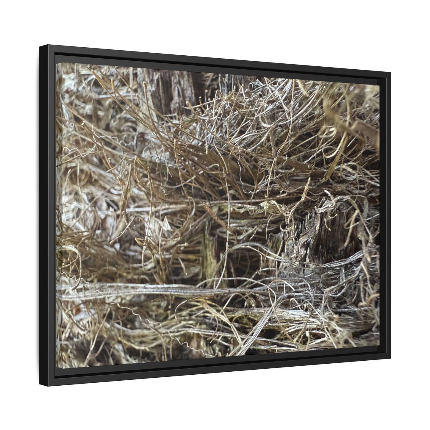 Tangled Whispers of Autumn - Unique Stretched Canvas Wall Art