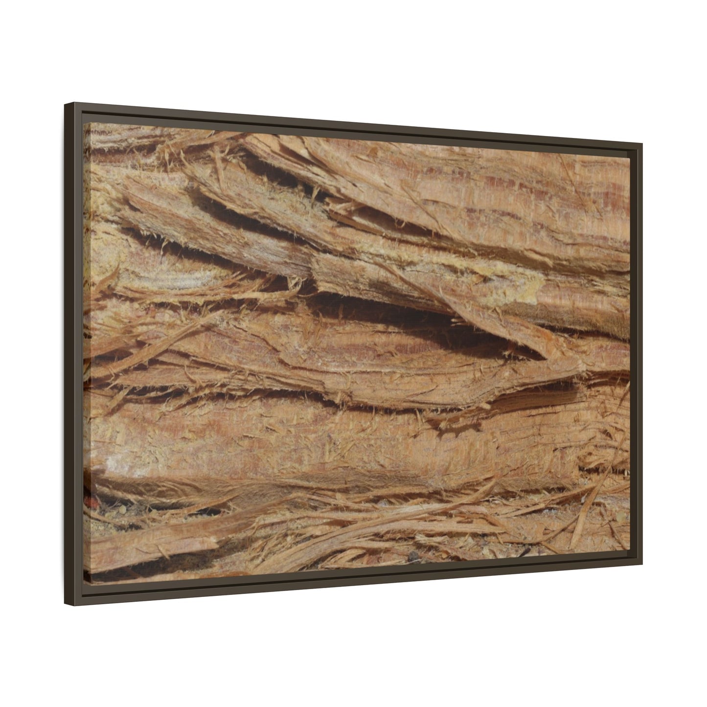 Splintered Bark - Unique Stretched Canvas Wall Art