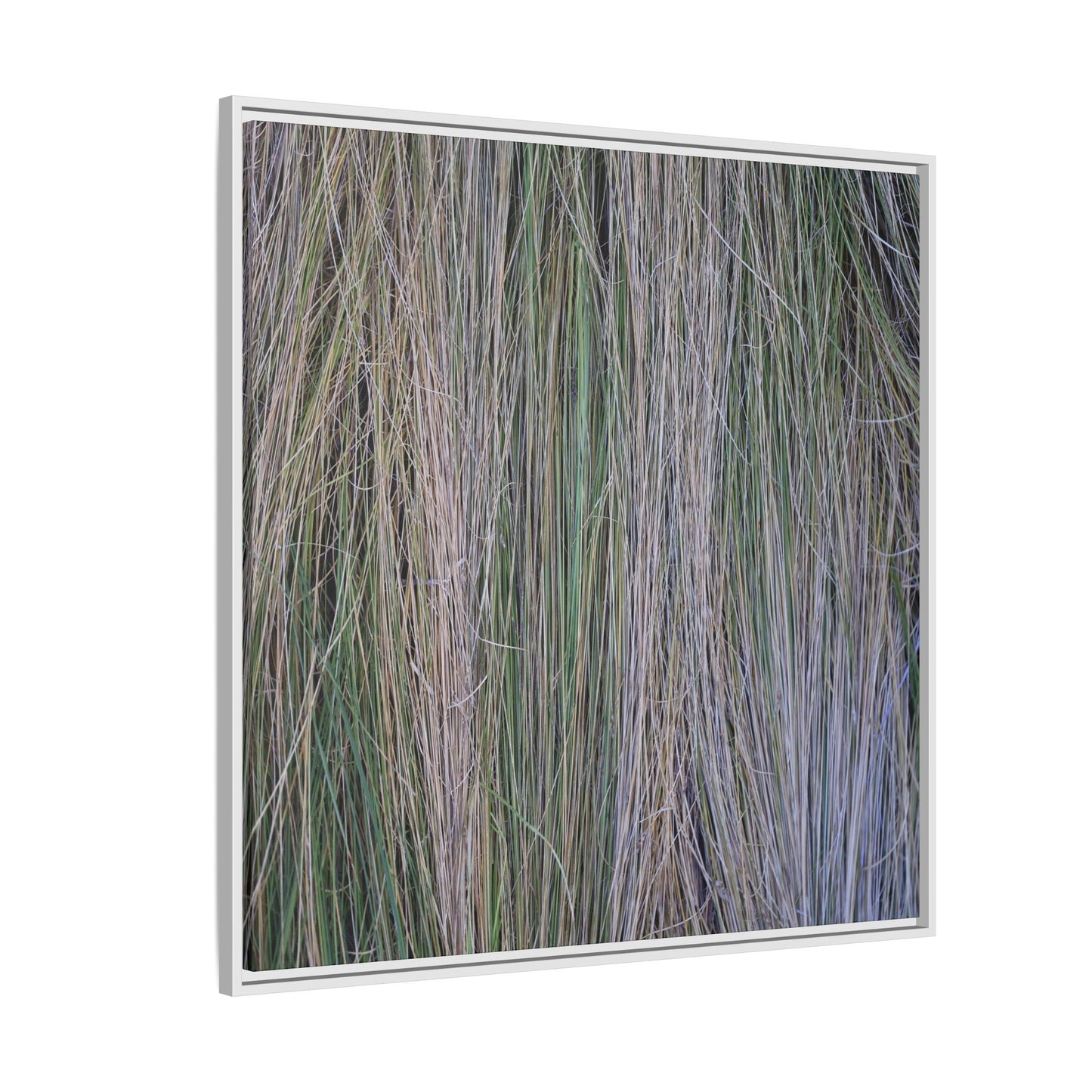 Whispers of Silver Grass - Unique Stretched Canvas Wall Art