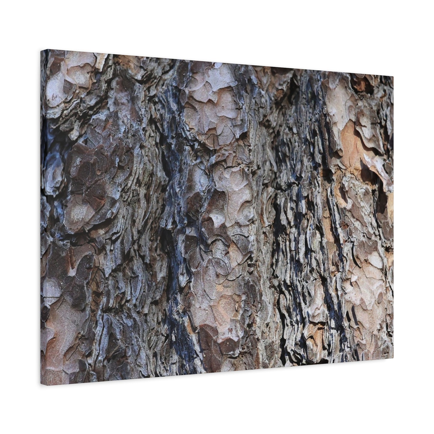 Bark's Rugged Symphony - Unique Frameless Canvas Wall Art