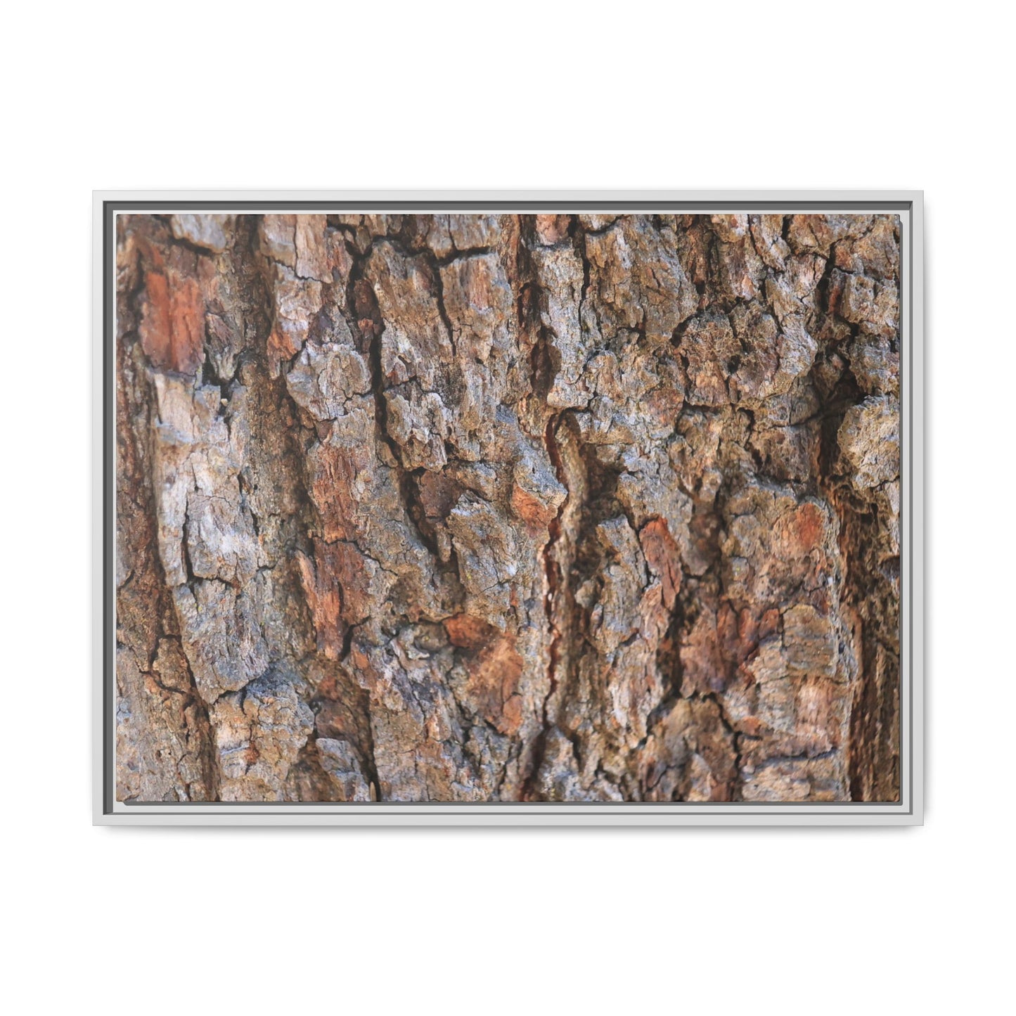 Tree's Timeworn Tale - Unique Stretched Canvas Wall Art