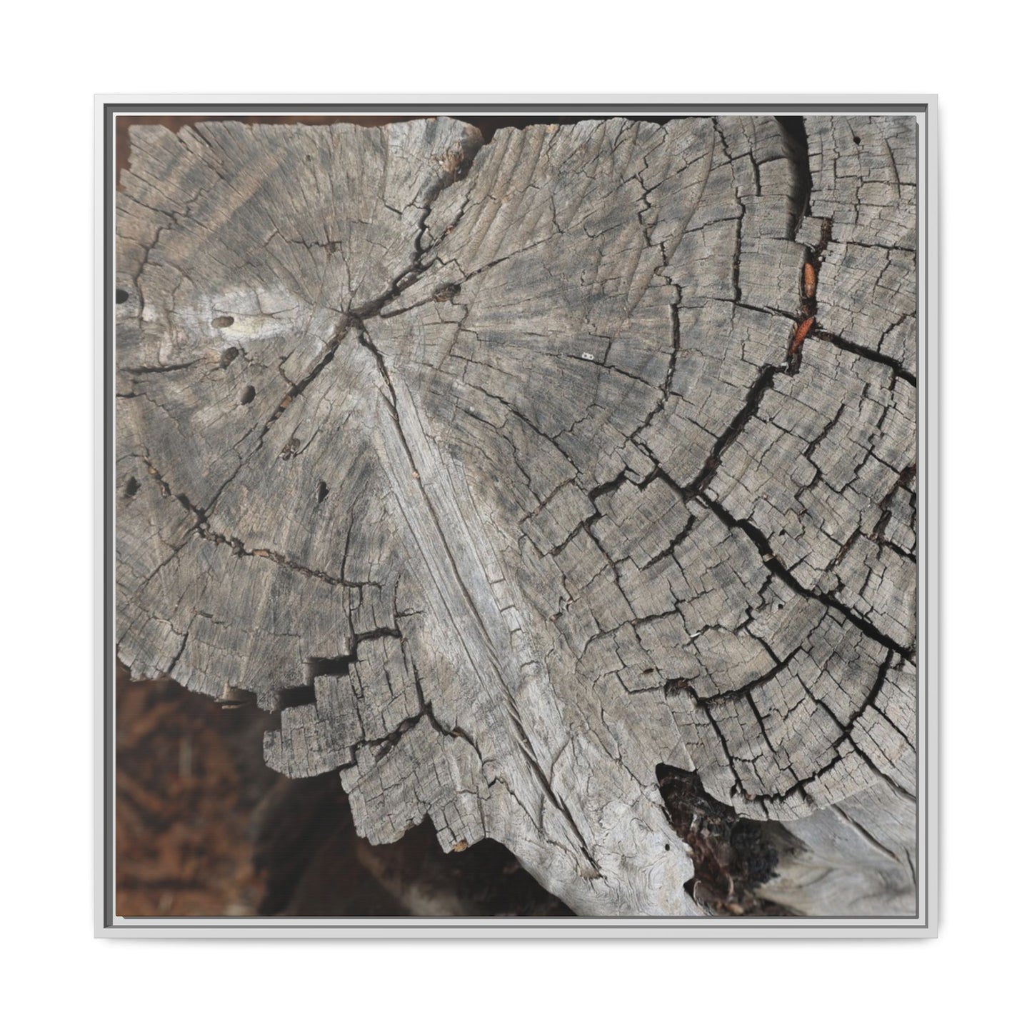 Time's Signature - Unique Stretched Canvas Wall Art