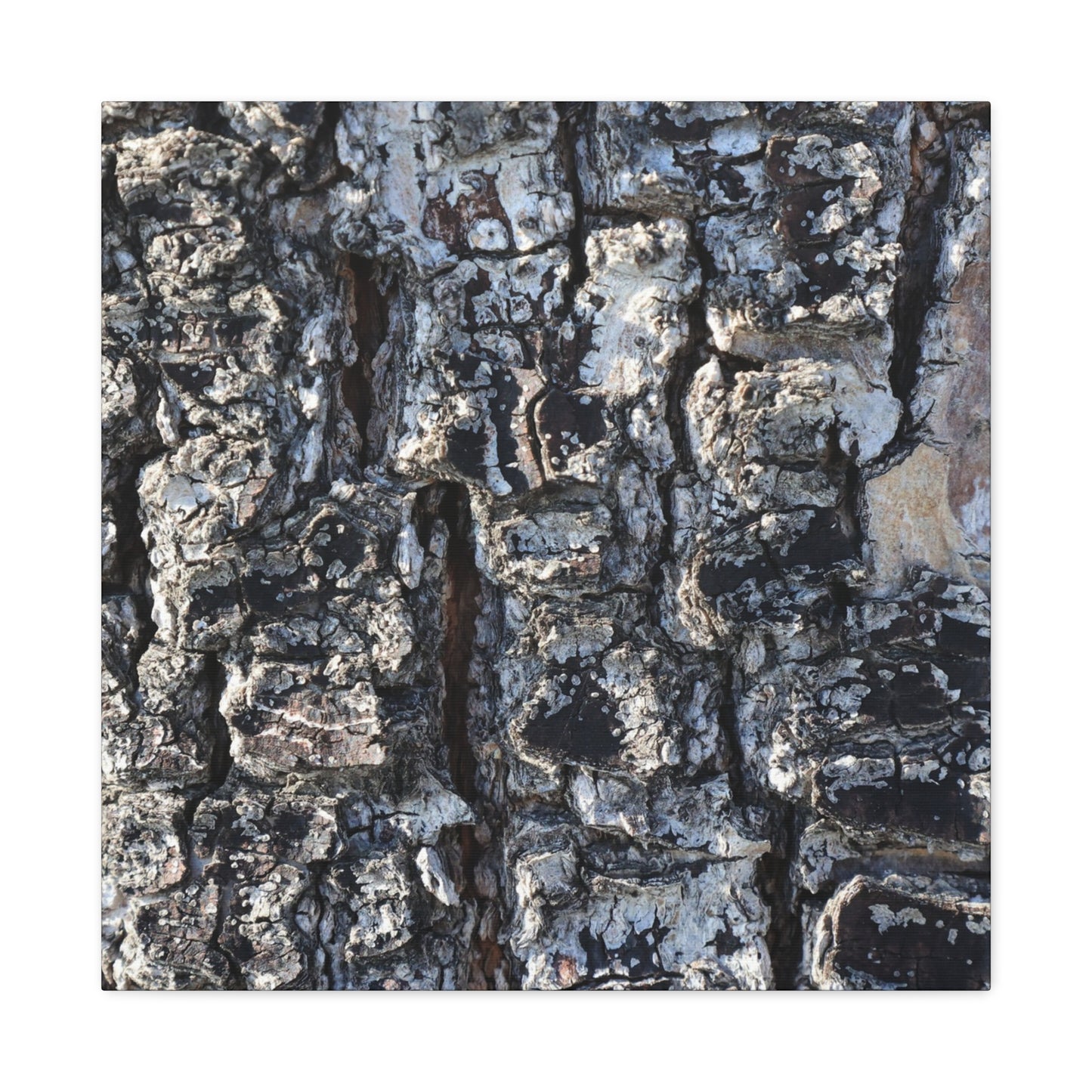 Textured Whispers of the Ancient Tree - Unique Frameless Canvas Wall Art