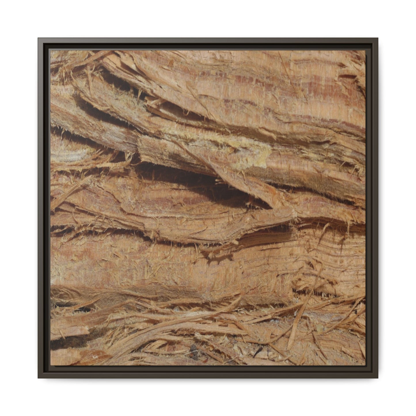 Splintered Bark - Unique Stretched Canvas Wall Art