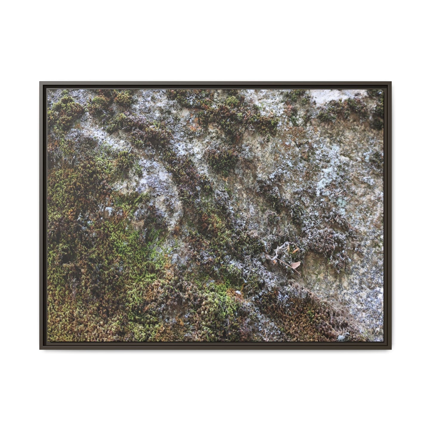 Mossy Whispers - Unique Stretched Canvas Wall Art