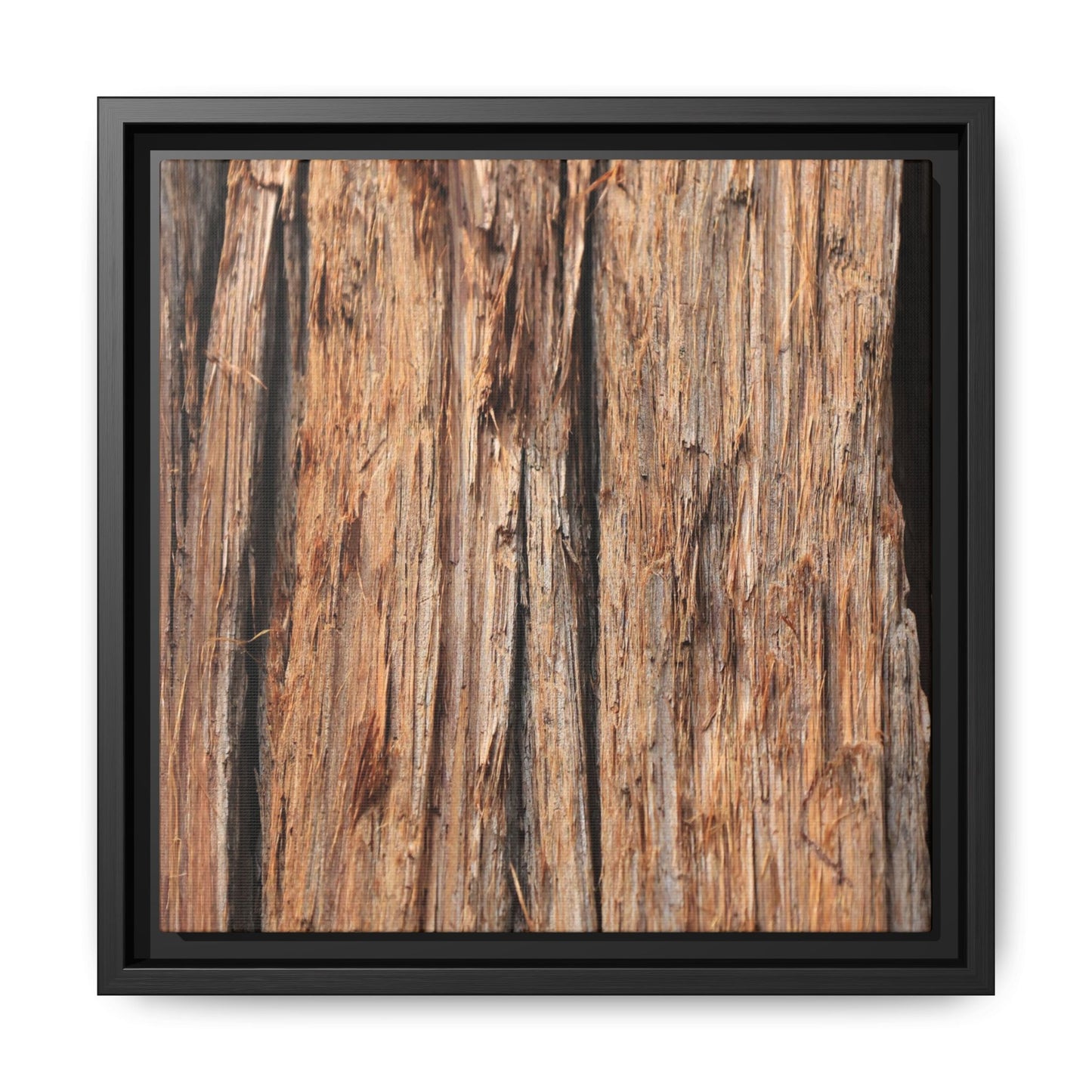 Timber Echoes - Unique Stretched Canvas Wall Art