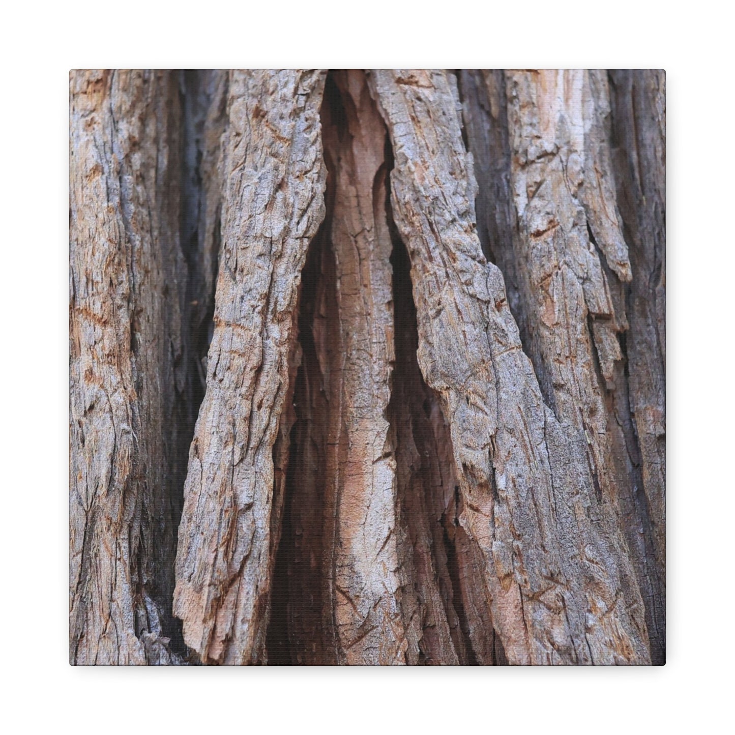 Fractured Skin of Time - Unique Frameless Canvas Wall Art