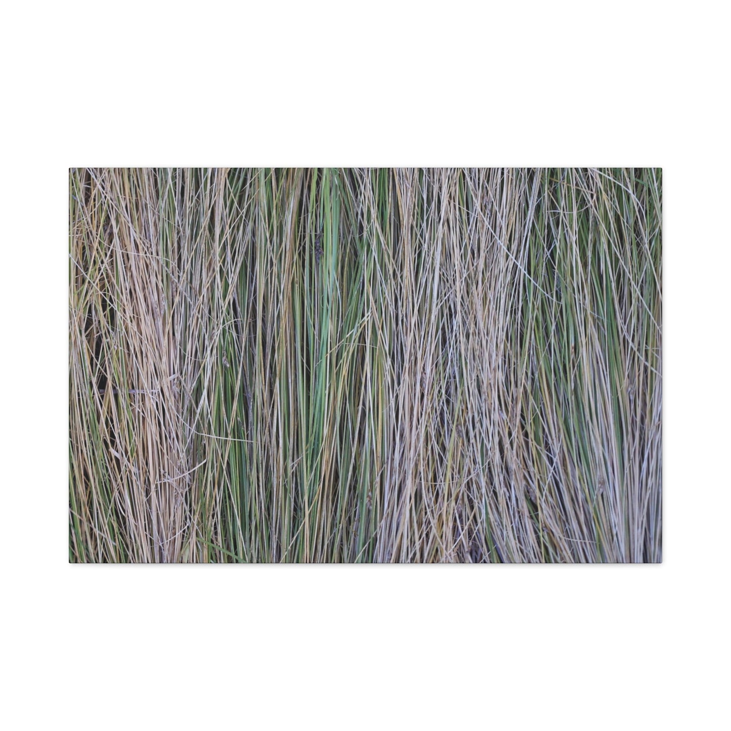Whispers of Grass - Unique Frameless Canvas Wall Art