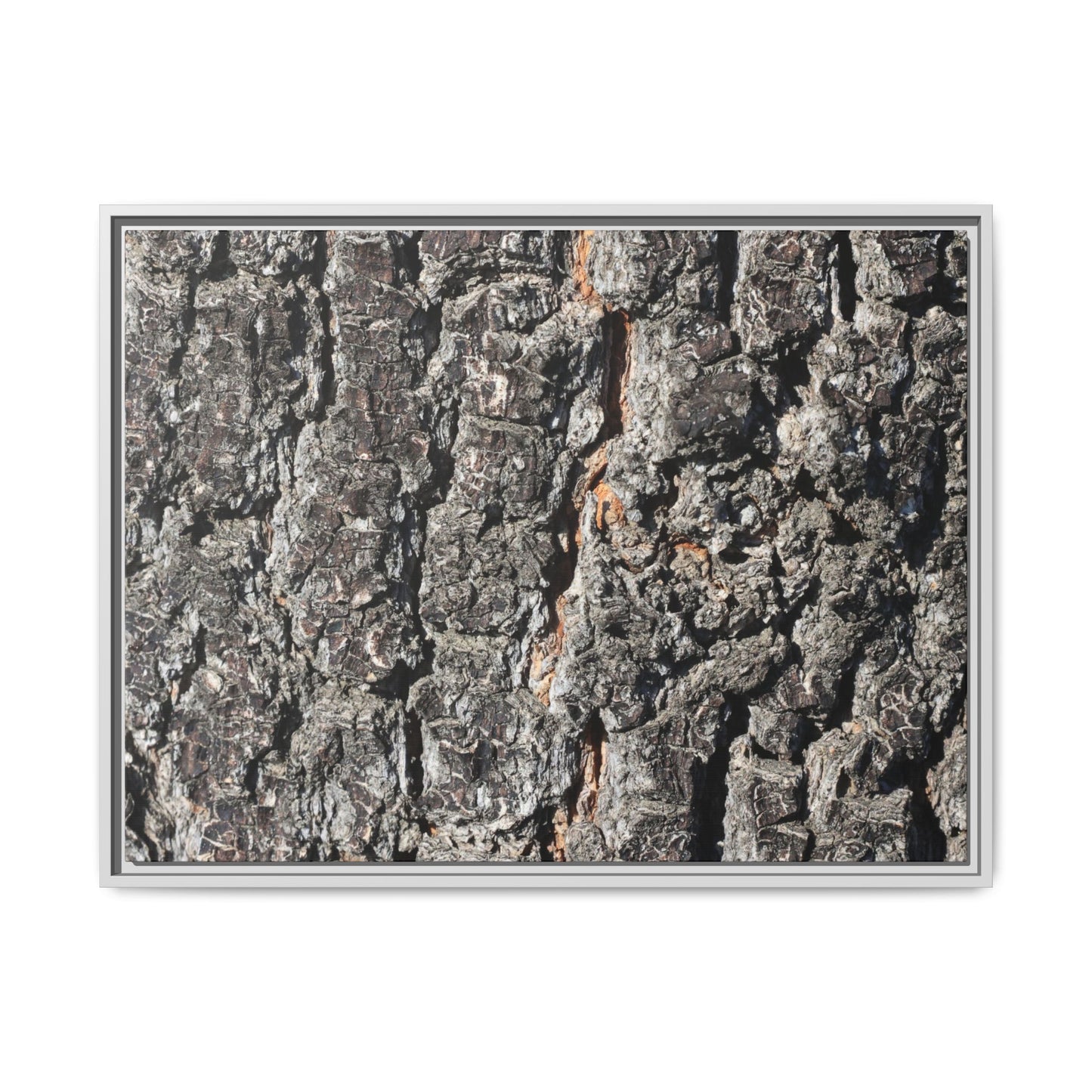 Aged Beauty - Unique Stretched Canvas Wall Art