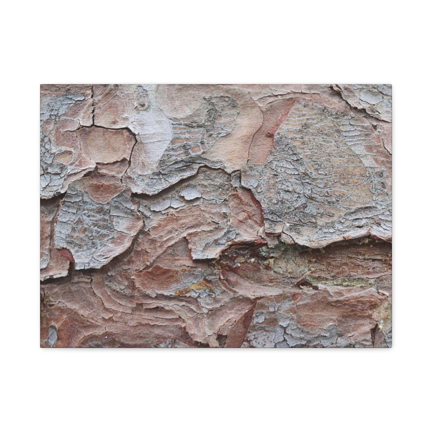 Textural Landscape - Unique Frameless Canvas Wall Art