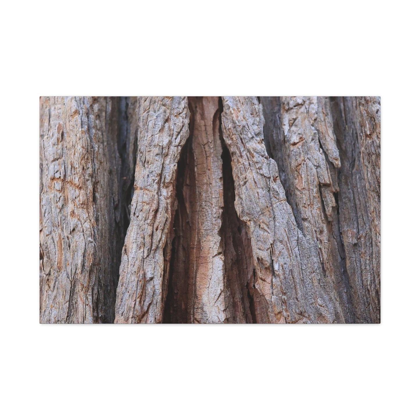 Fractured Skin of Time - Unique Frameless Canvas Wall Art