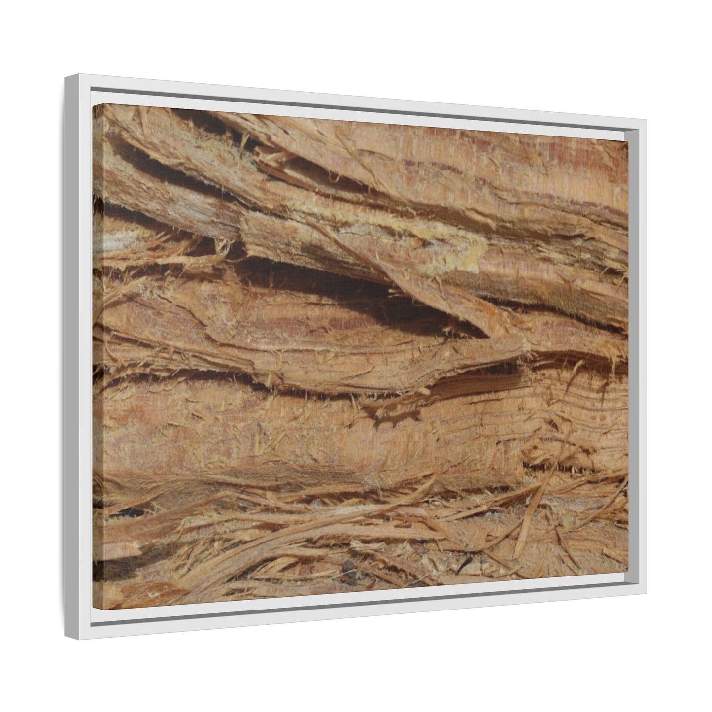 Splintered Bark - Unique Stretched Canvas Wall Art