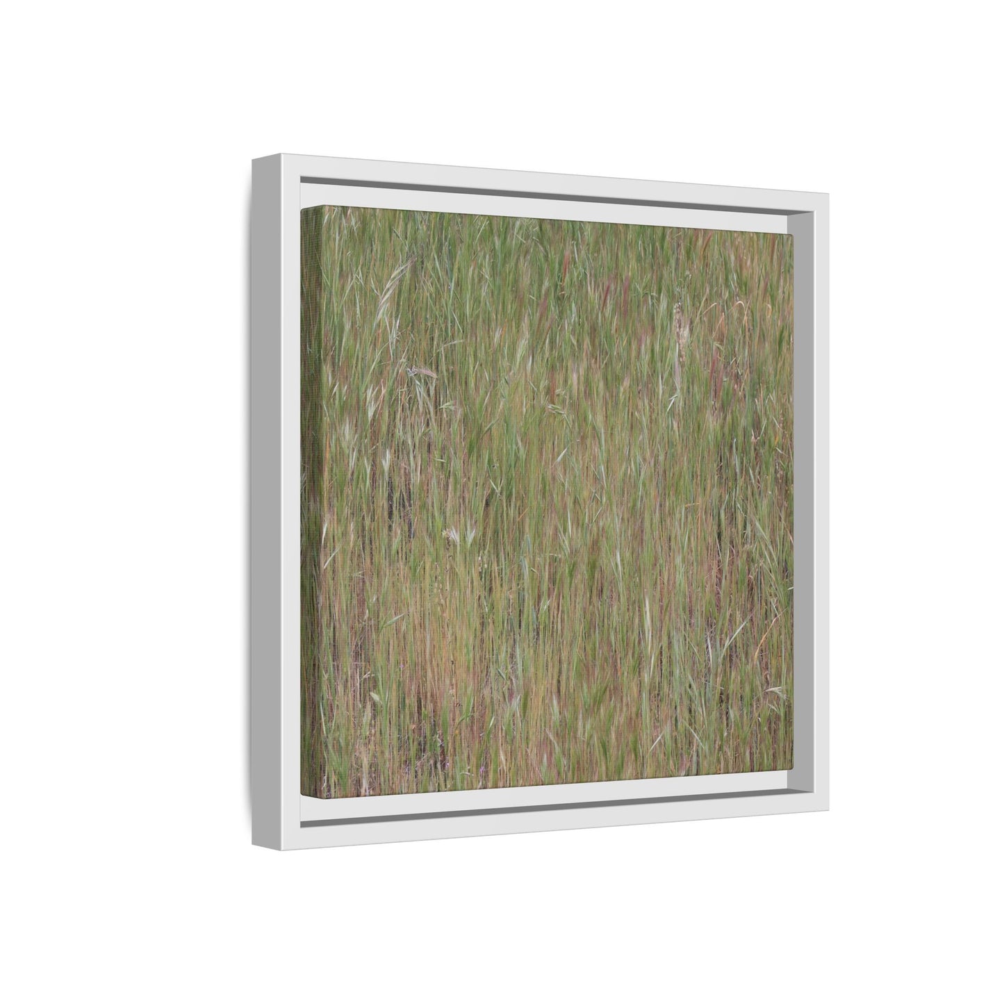 Field of Dreams - Unique Stretched Canvas Wall Art