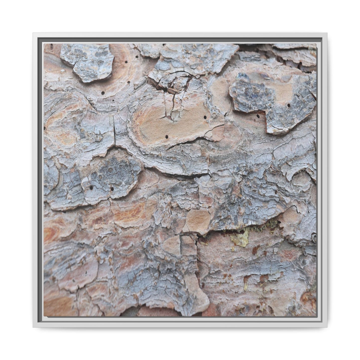Peeling Memories - Unique Stretched Canvas Wall Art