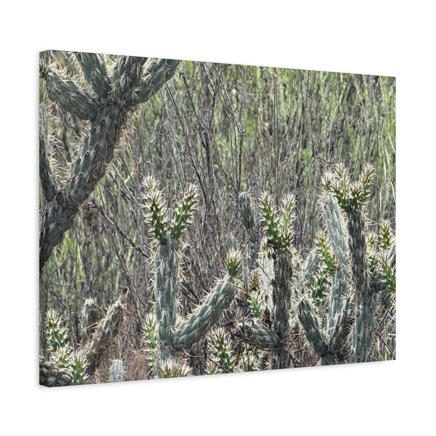 Spiny Sentinels - Unique Frameless Canvas Wall Art