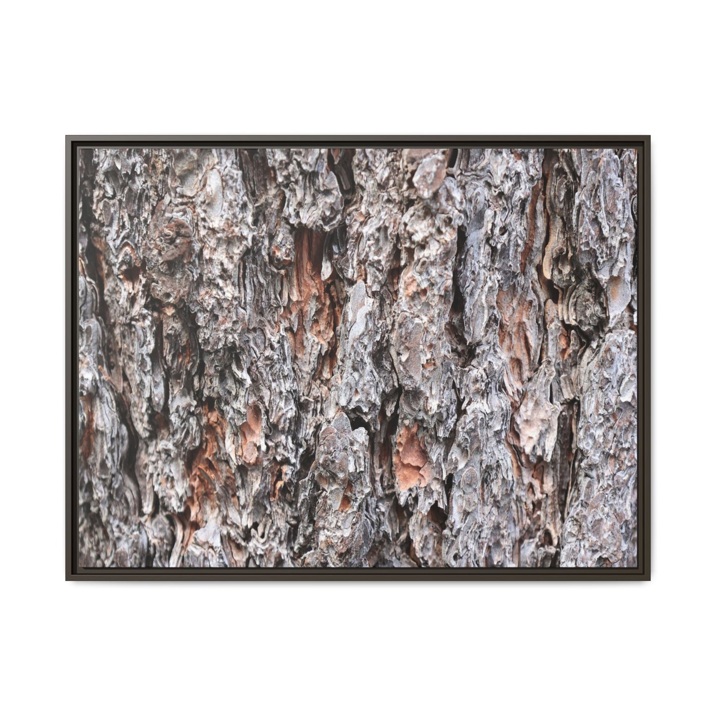 Rugged Cortex - Unique Stretched Canvas Wall Art