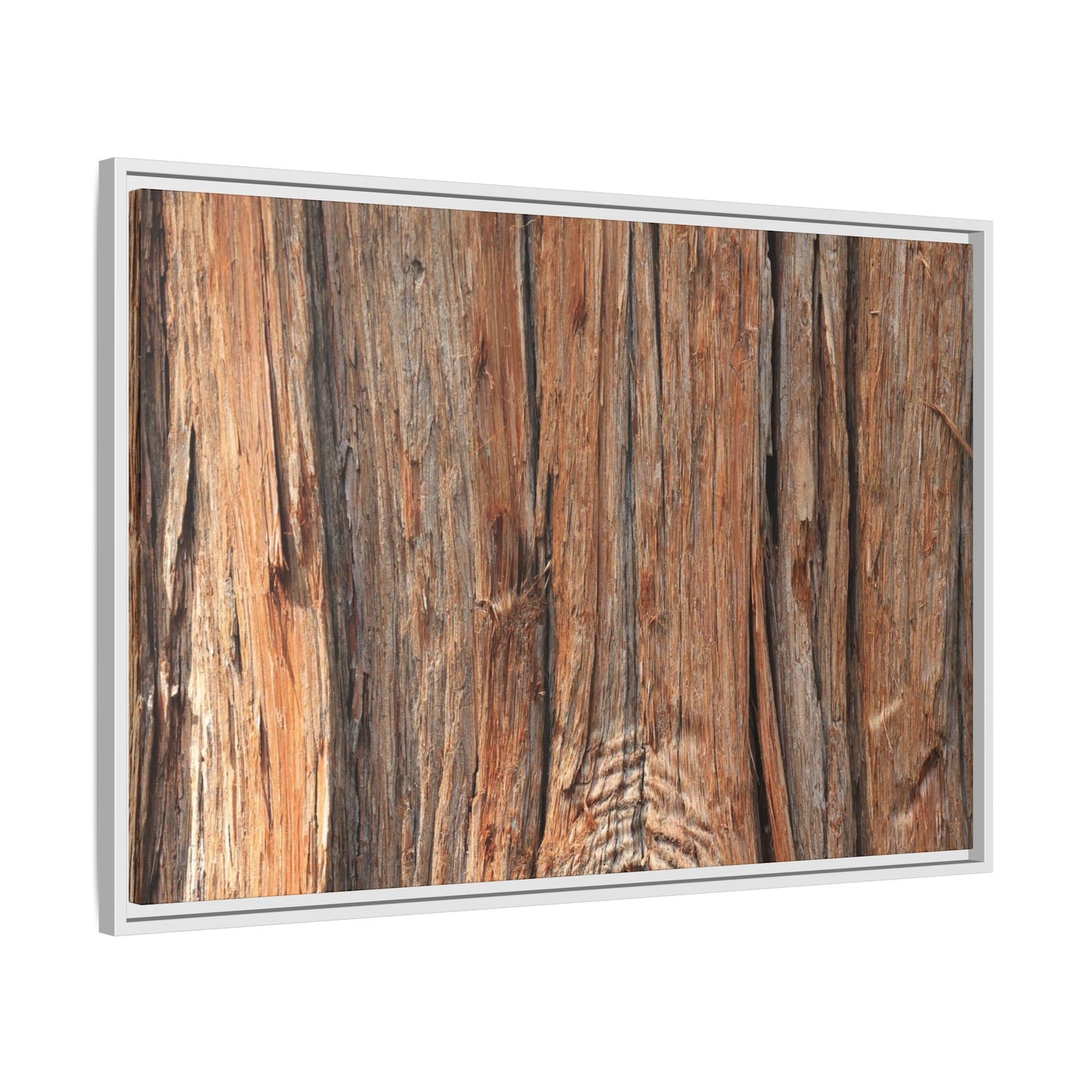 Echoes of Timber - Unique Stretched Canvas Wall Art