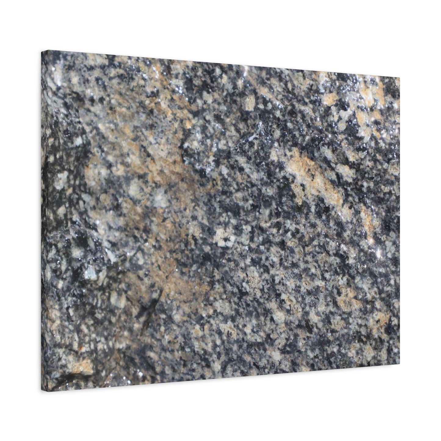 Metamorphic Memory - Unique Frameless Canvas Wall Art