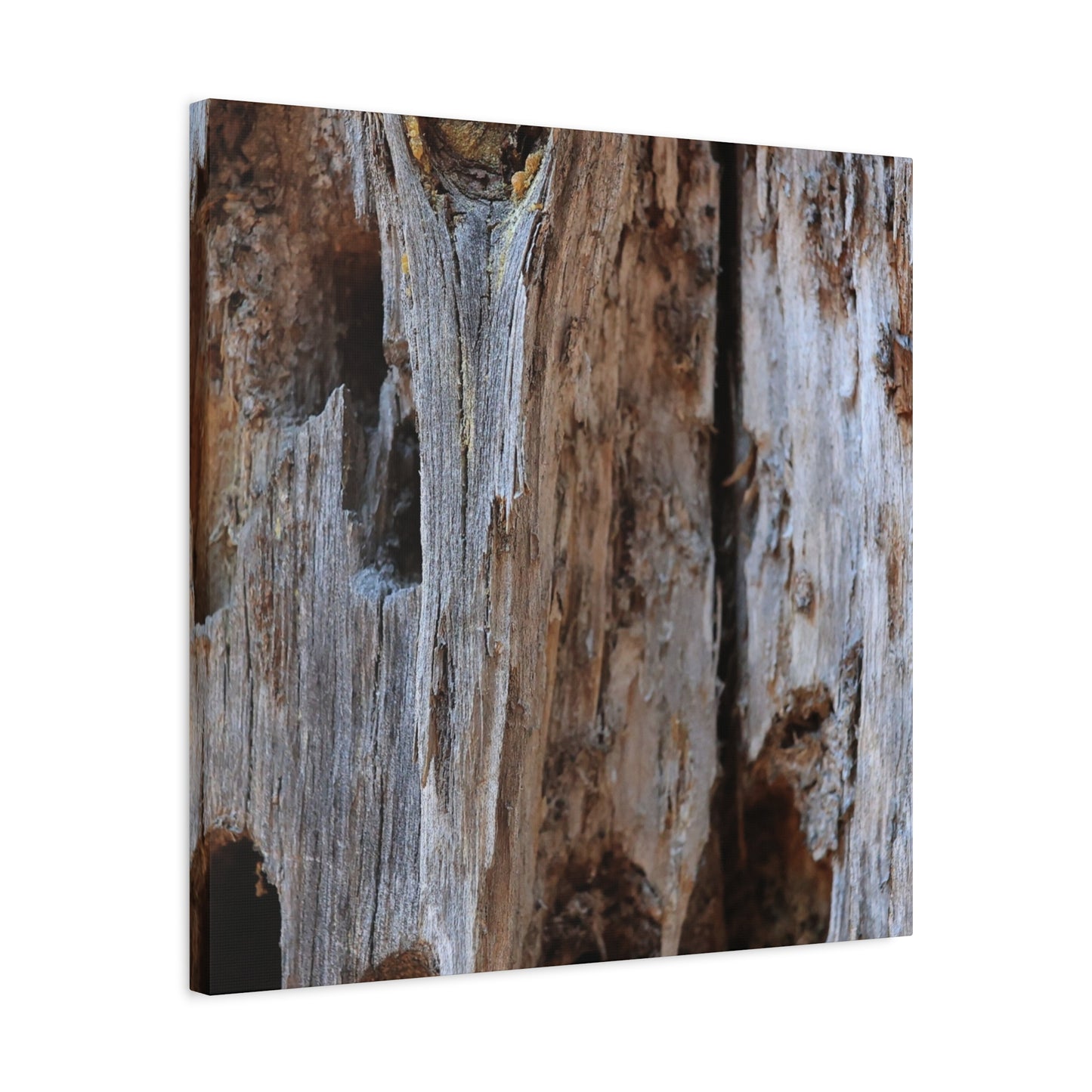 Timber Tapestry - Unique Frameless Canvas Wall Art