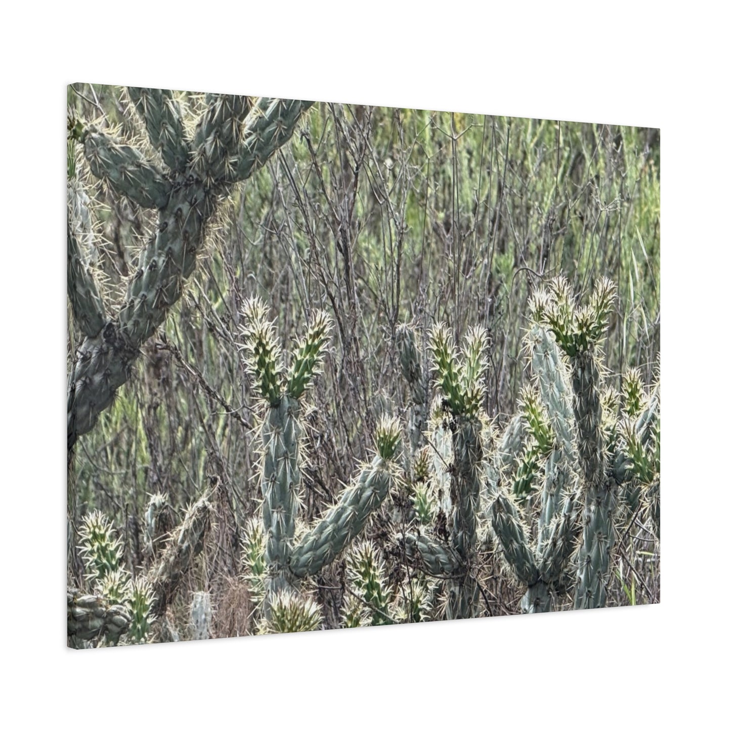 Spiny Sentinels - Unique Frameless Canvas Wall Art