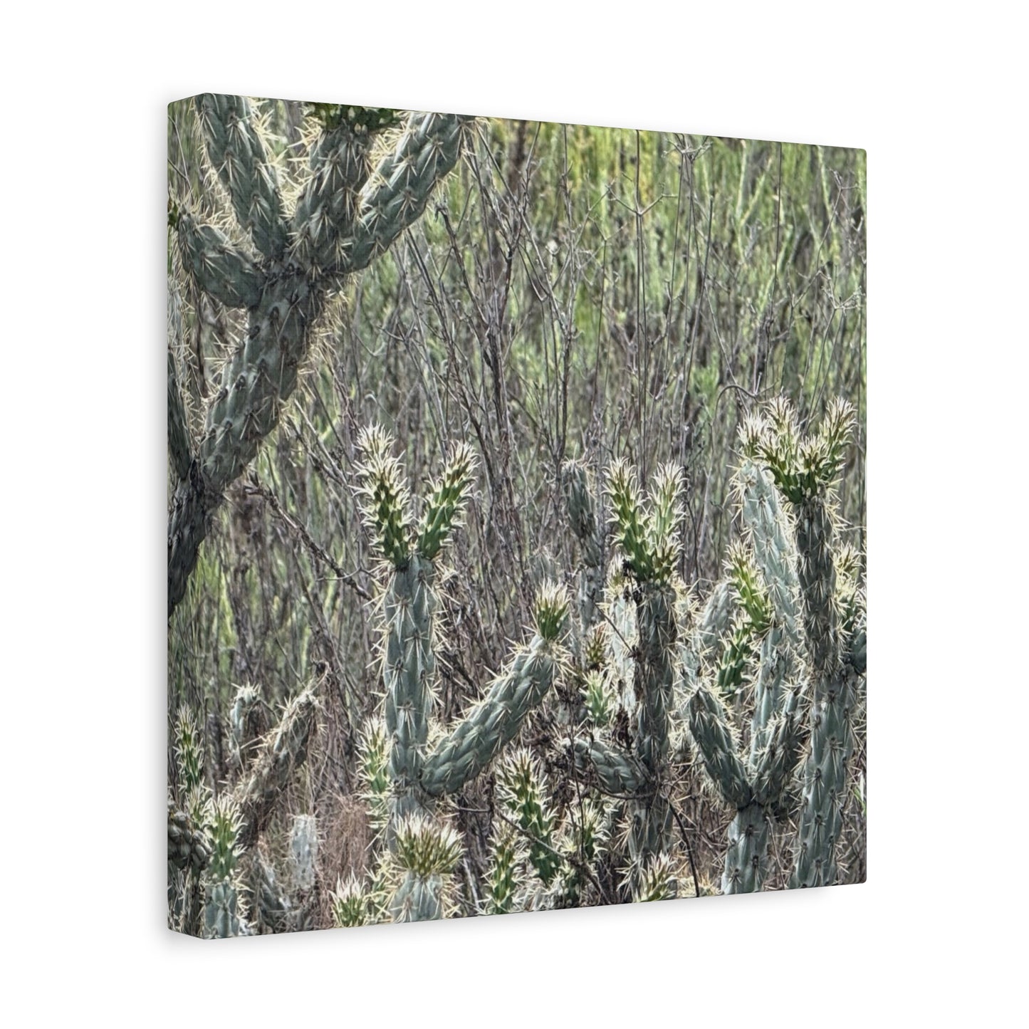 Spiny Sentinels - Unique Frameless Canvas Wall Art