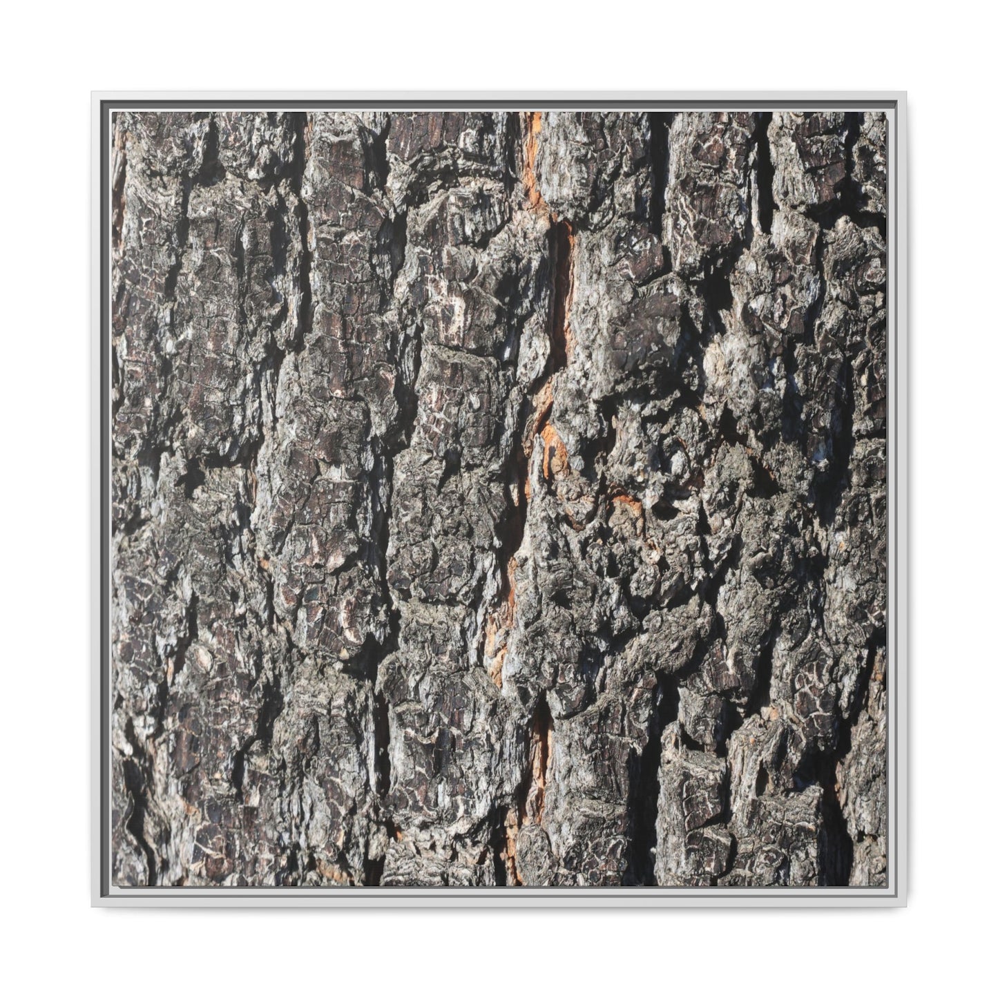 Aged Beauty - Unique Stretched Canvas Wall Art