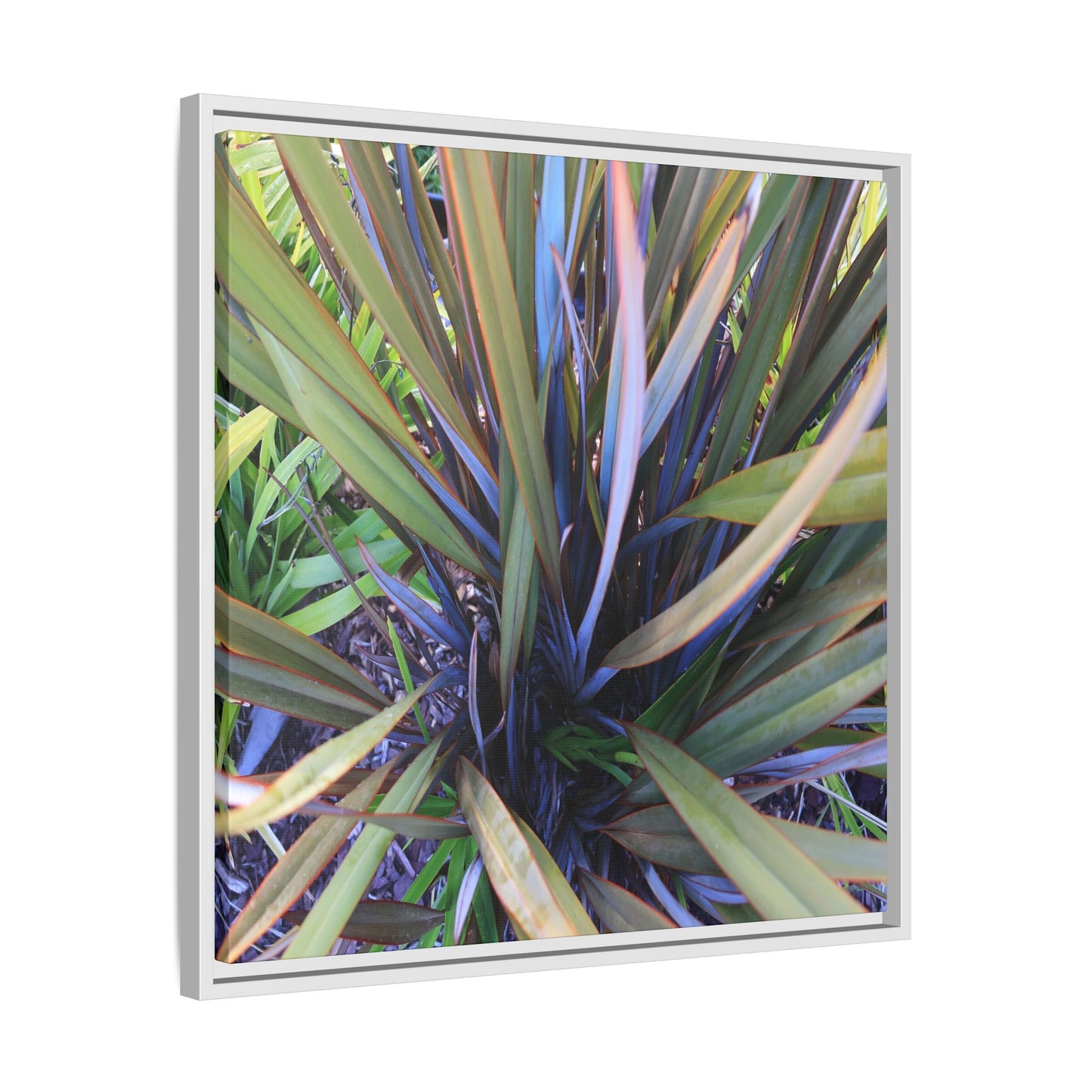 Radiant Leaves - Unique Stretched Canvas Wall Art