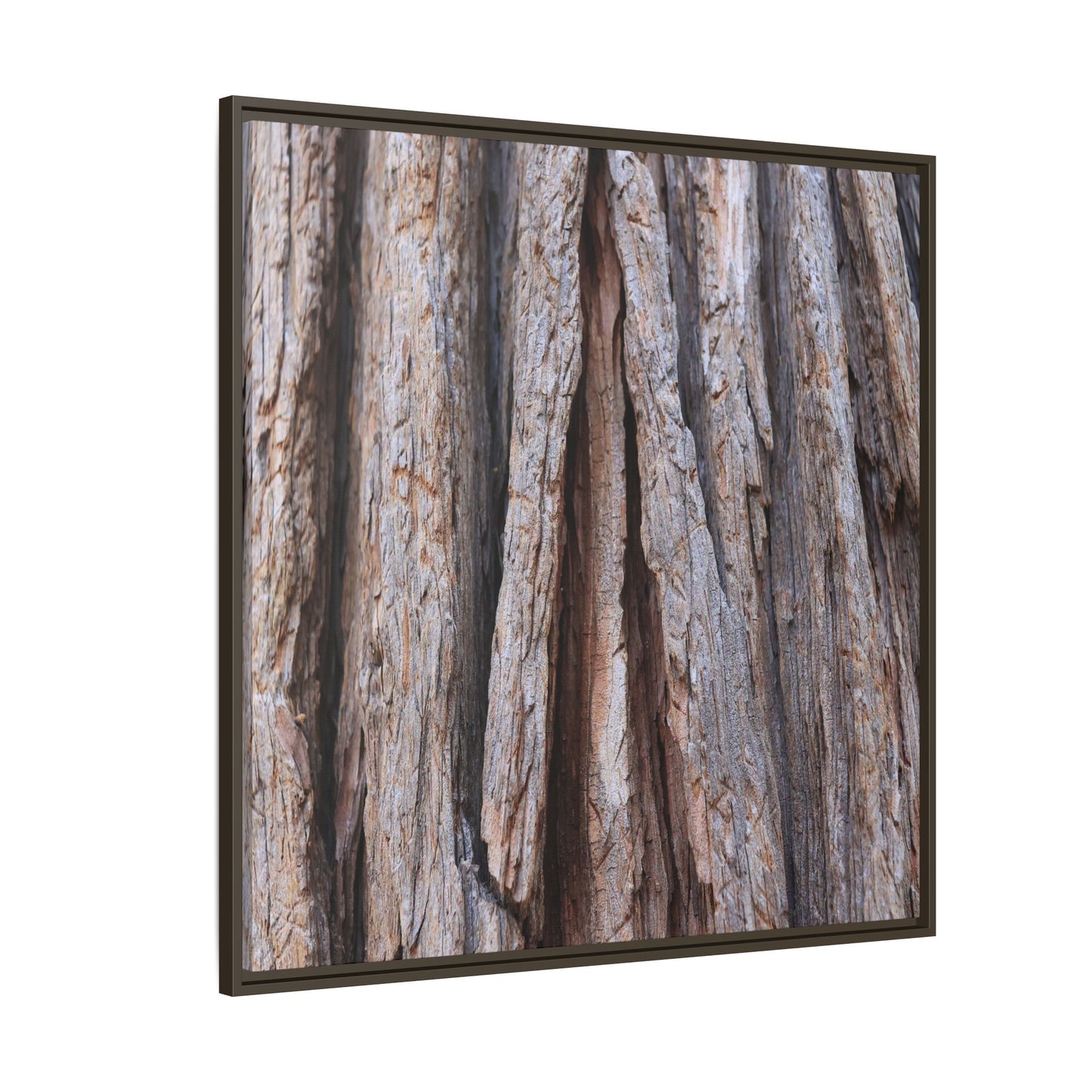 Nature's Sculpture - Unique Stretched Canvas Wall Art