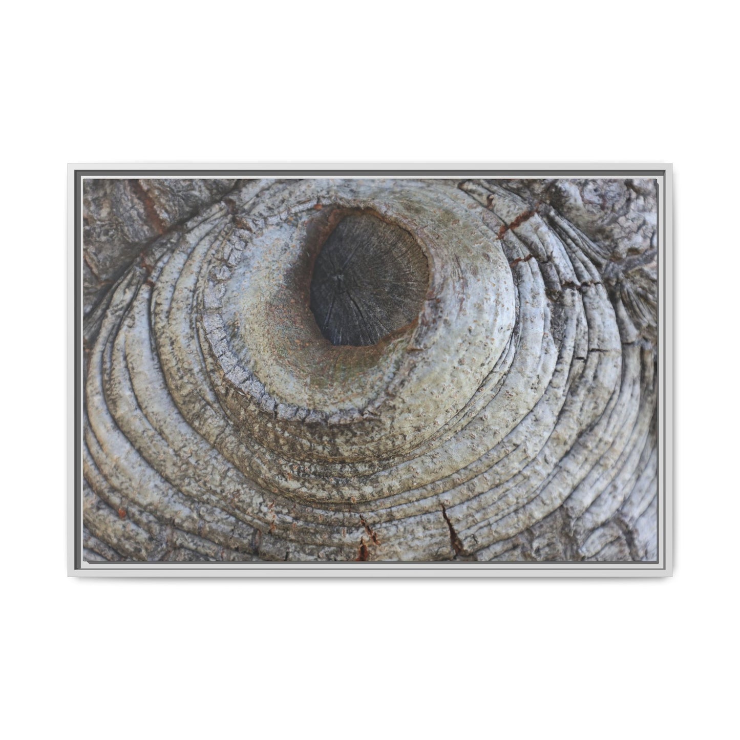 Echoes of Time - Unique Stretched Canvas Wall Art