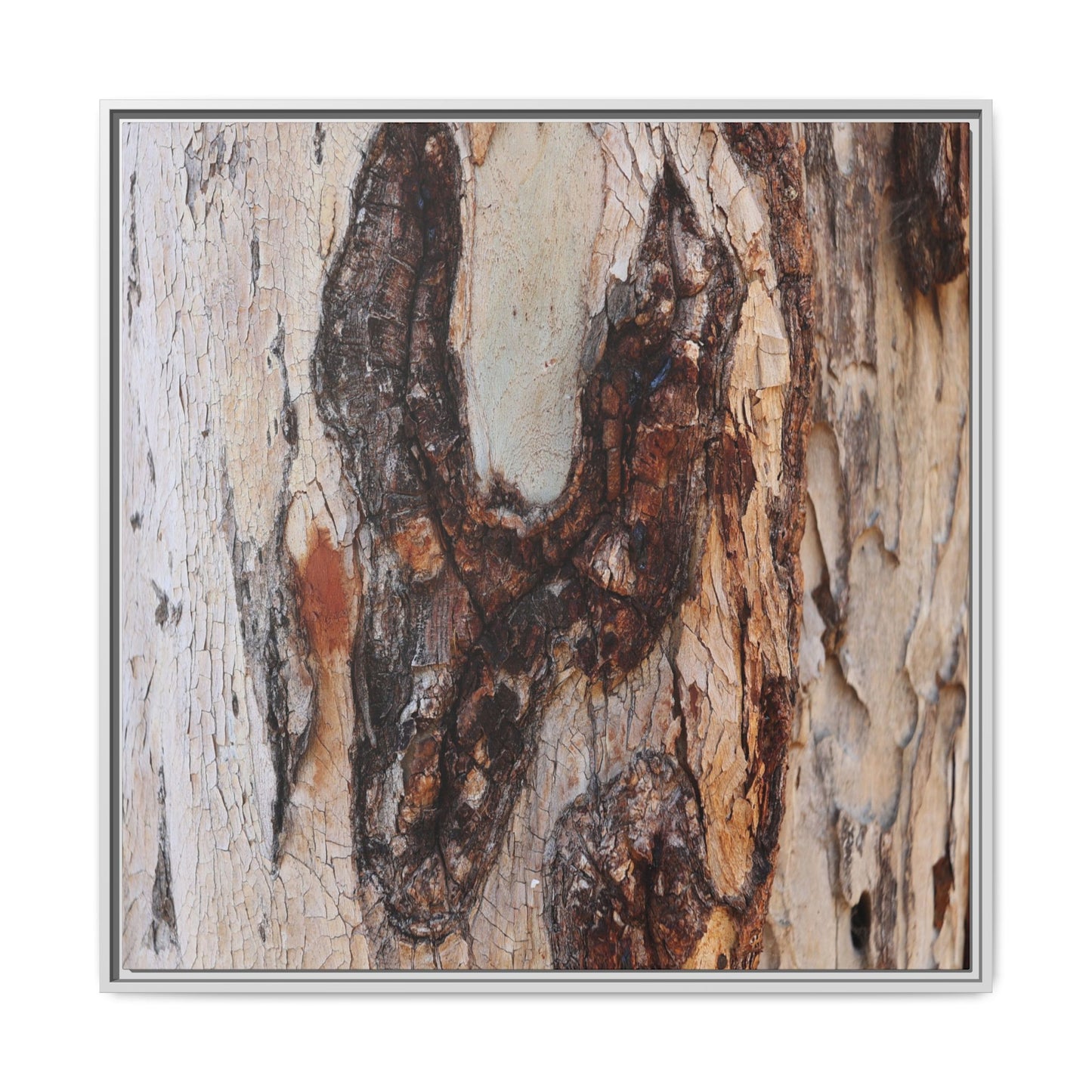 Texture of Time - Unique Stretched Canvas Wall Art