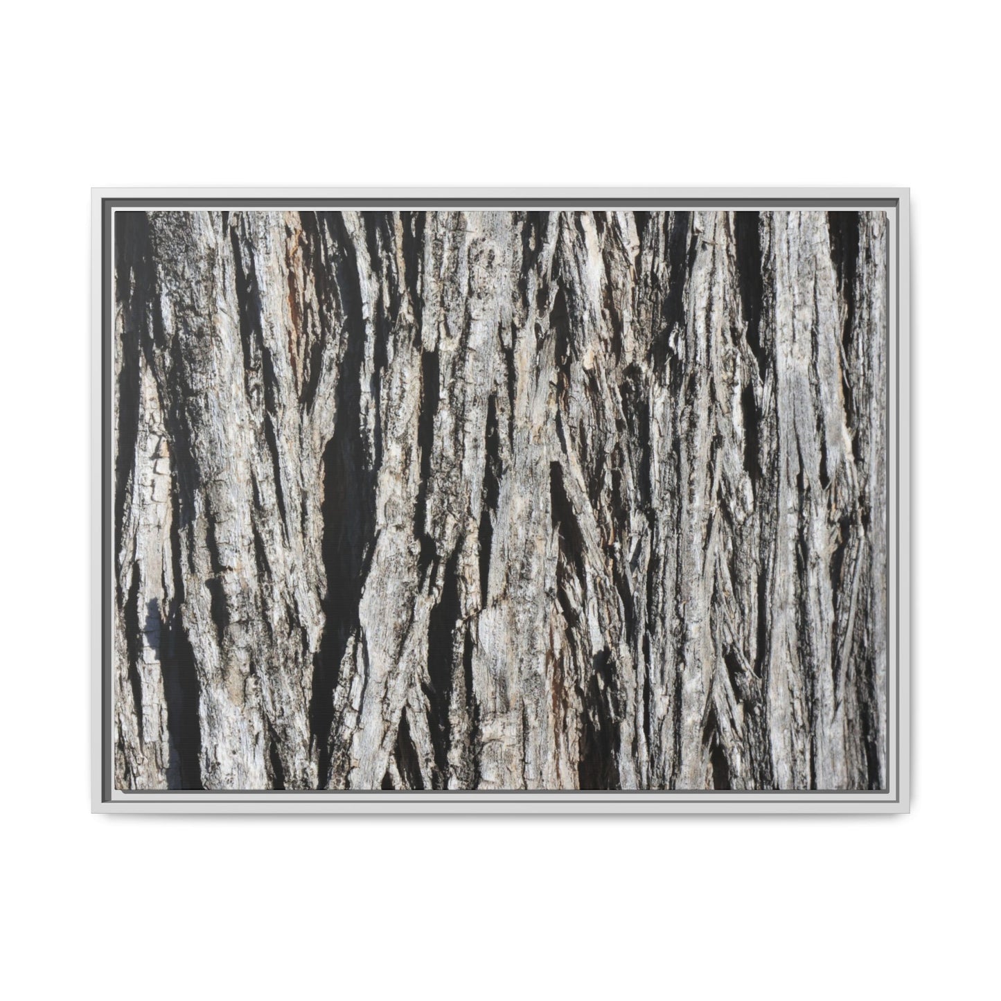 Nature's Abstract - Unique Stretched Canvas Wall Art