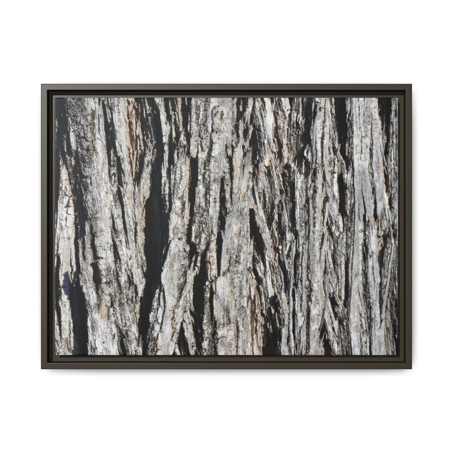 Nature's Abstract - Unique Stretched Canvas Wall Art