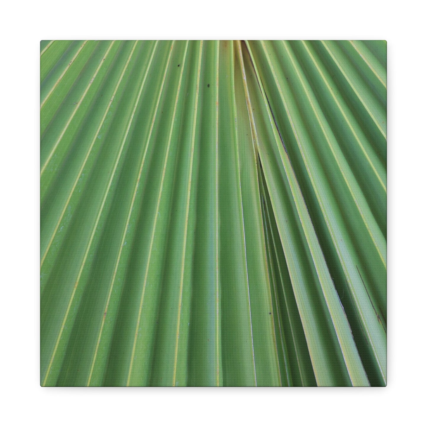 Fan of Green - Unique Frameless Canvas Wall Art