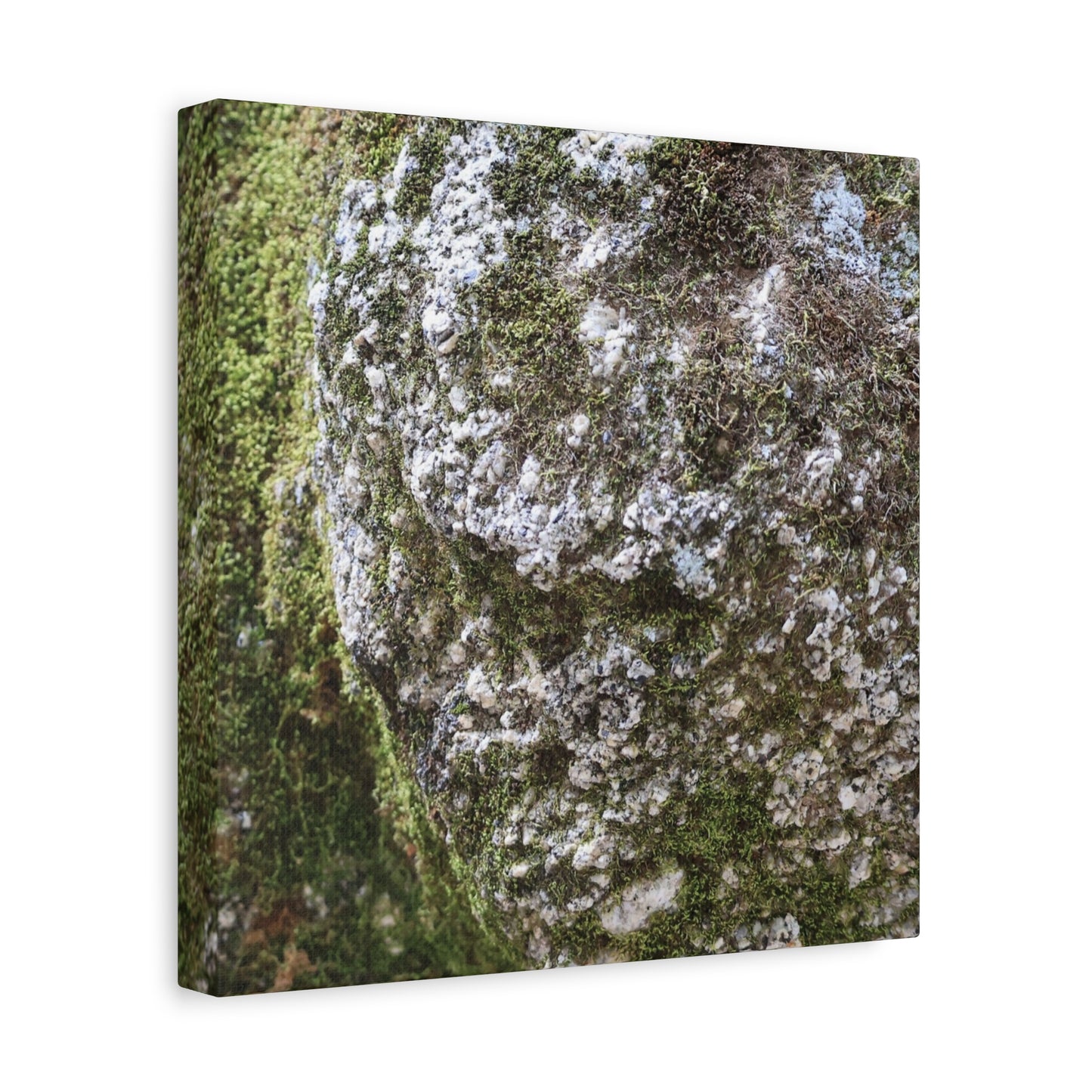 Moss and Stone Whispers - Unique Frameless Canvas Wall Art