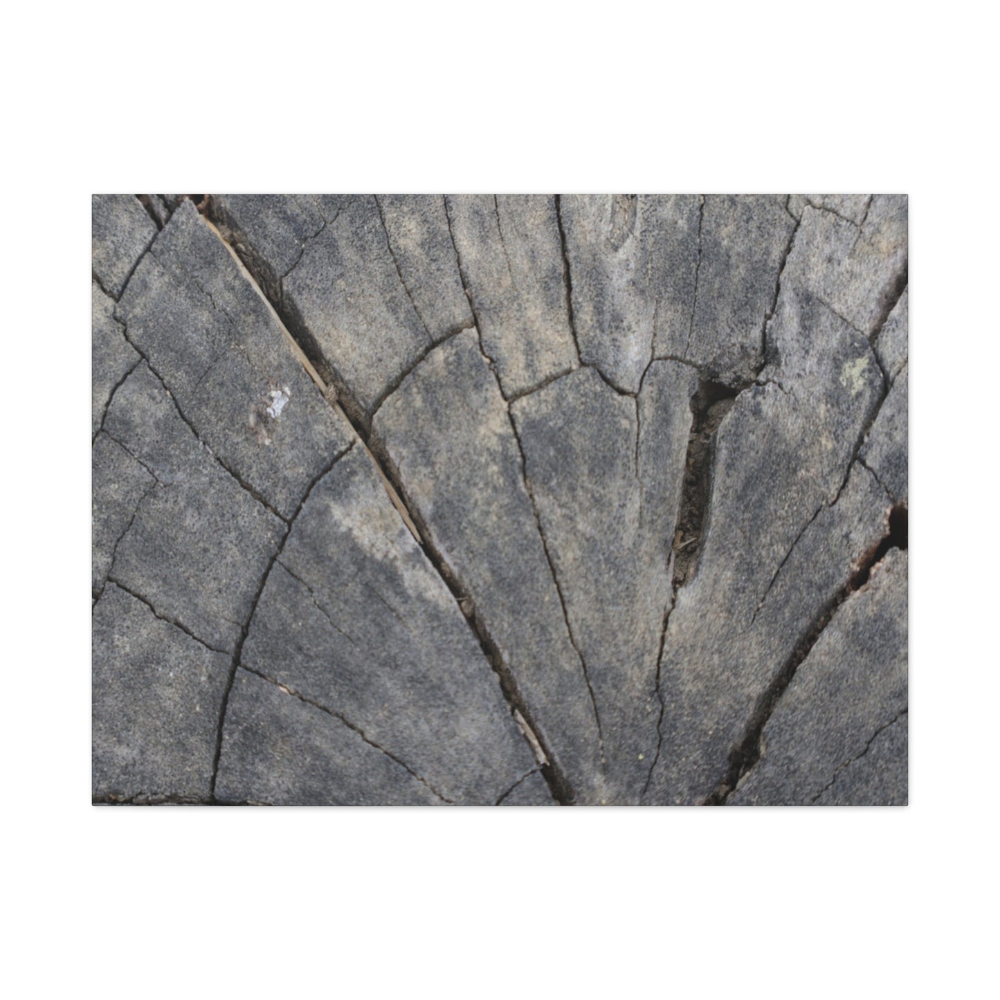 Geological Mosaic - Unique Frameless Canvas Wall Art