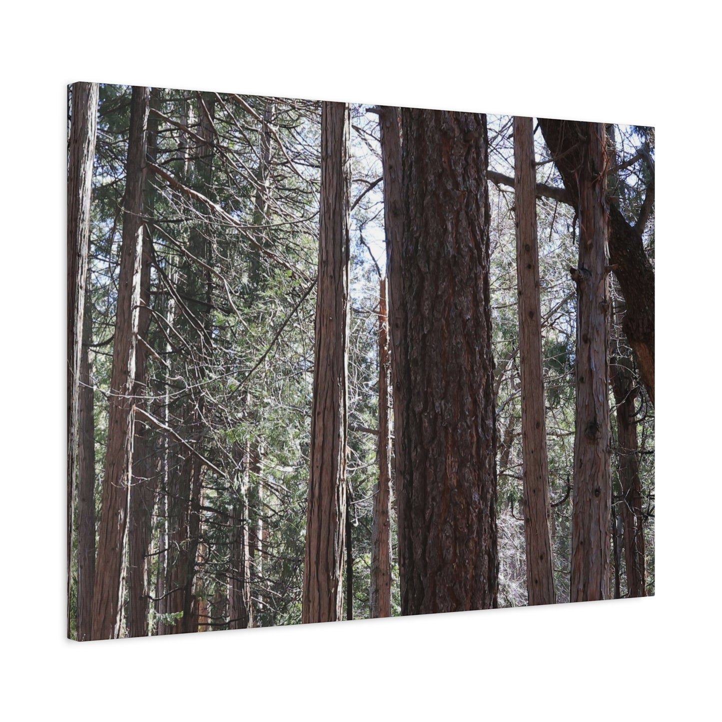 Vertical Sentinels - Unique Frameless Canvas Wall Art