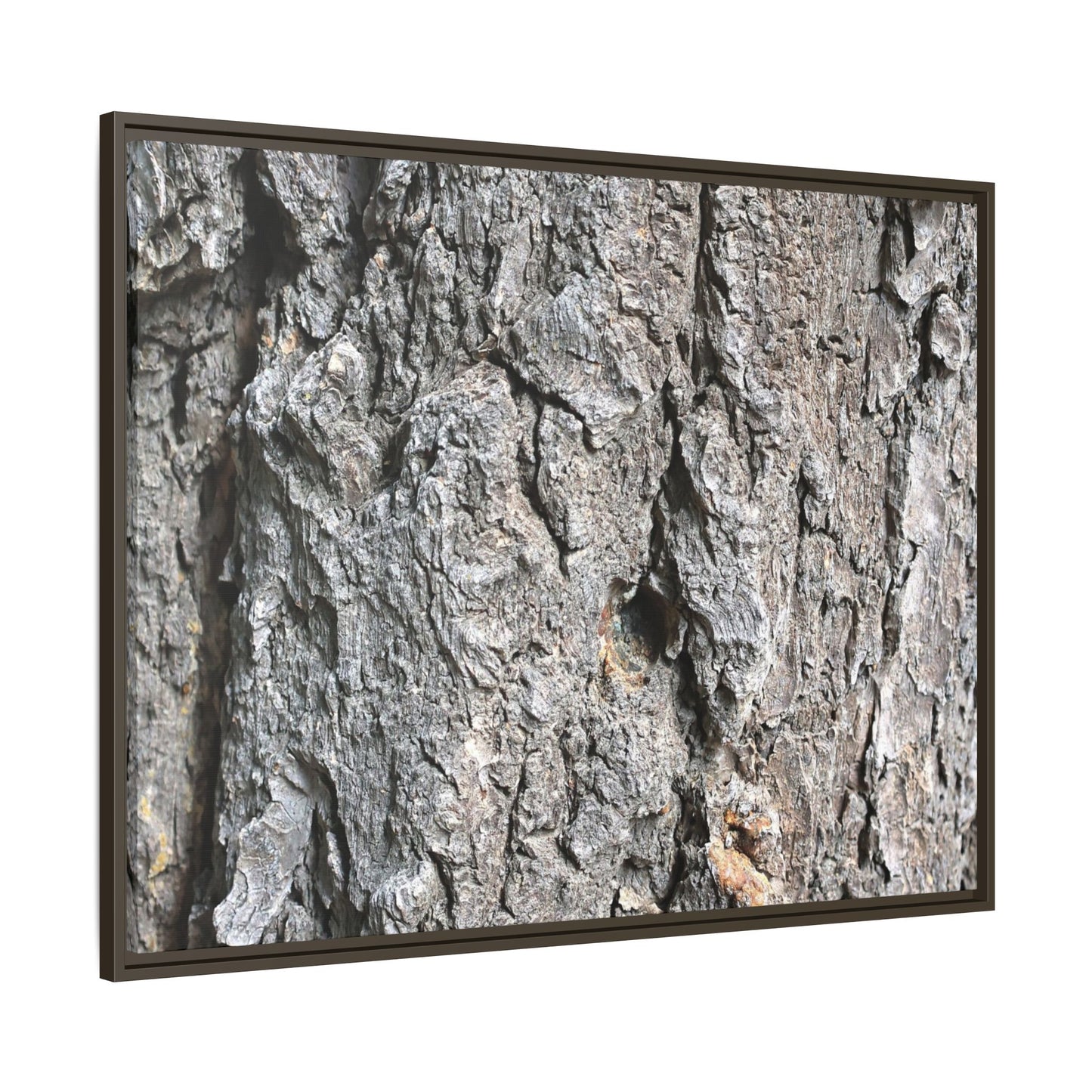 Crusty Exterior - Unique Stretched Canvas Wall Art