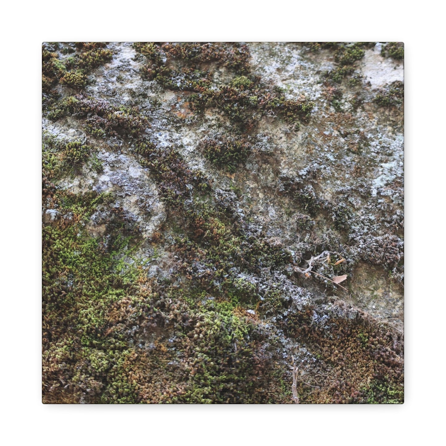 Moss Tapestry - Unique Frameless Canvas Wall Art