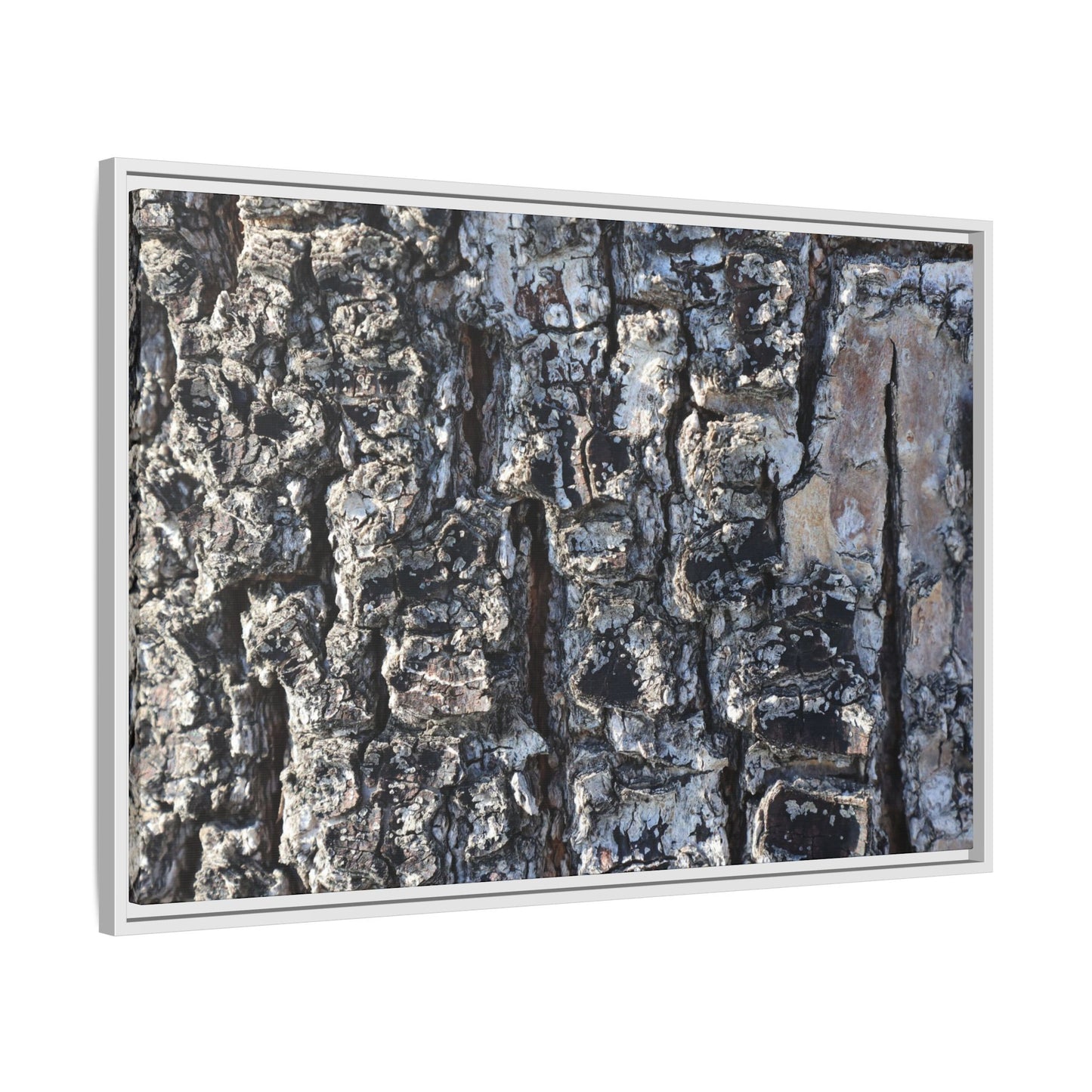 The Bark Chronicles - Unique Stretched Canvas Wall Art