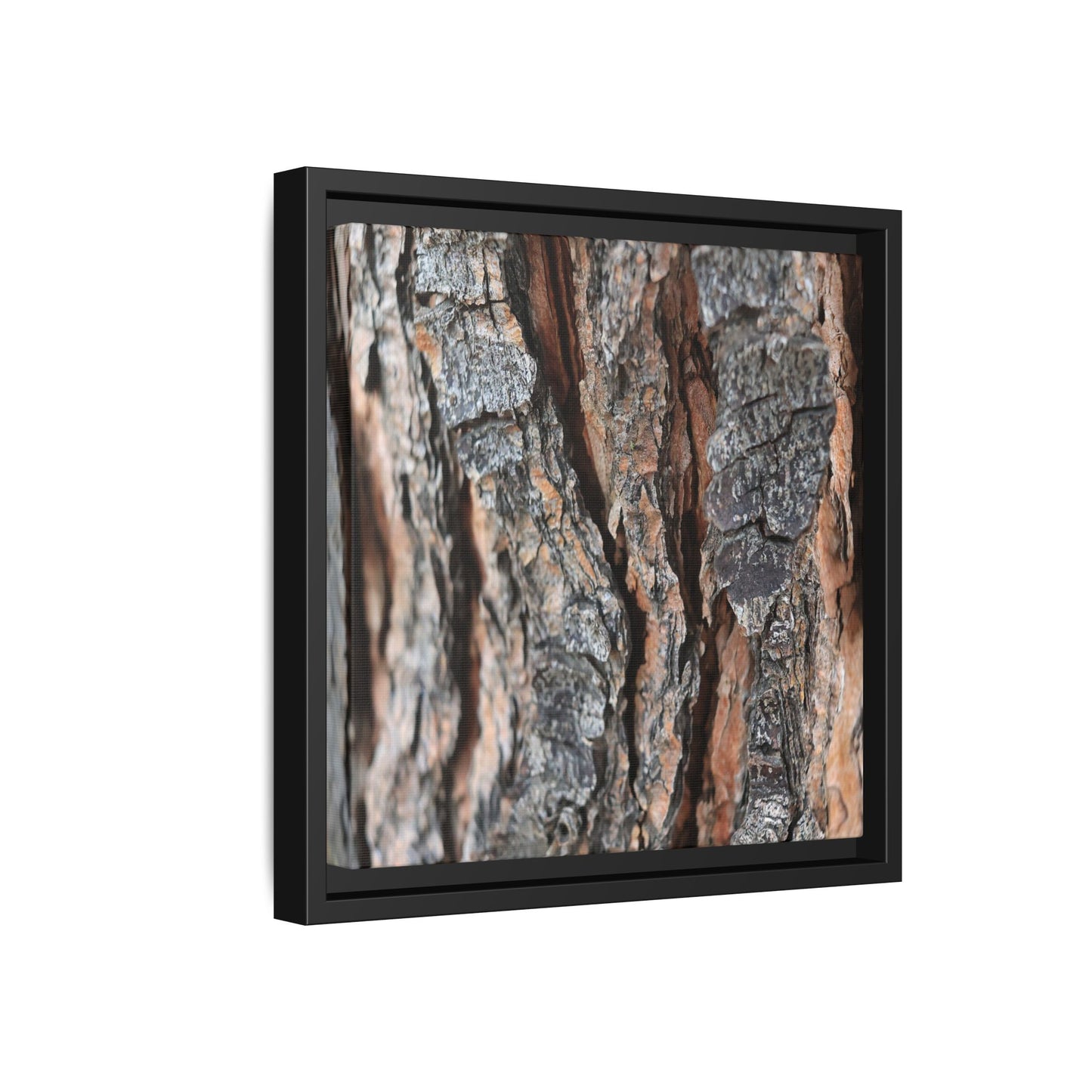 Fractured Nature - Unique Stretched Canvas Wall Art