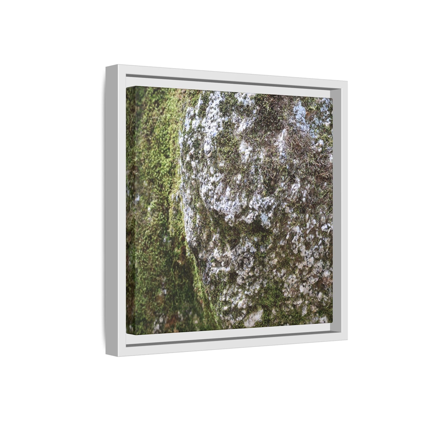 Lichen Landscape - Unique Stretched Canvas Wall Art