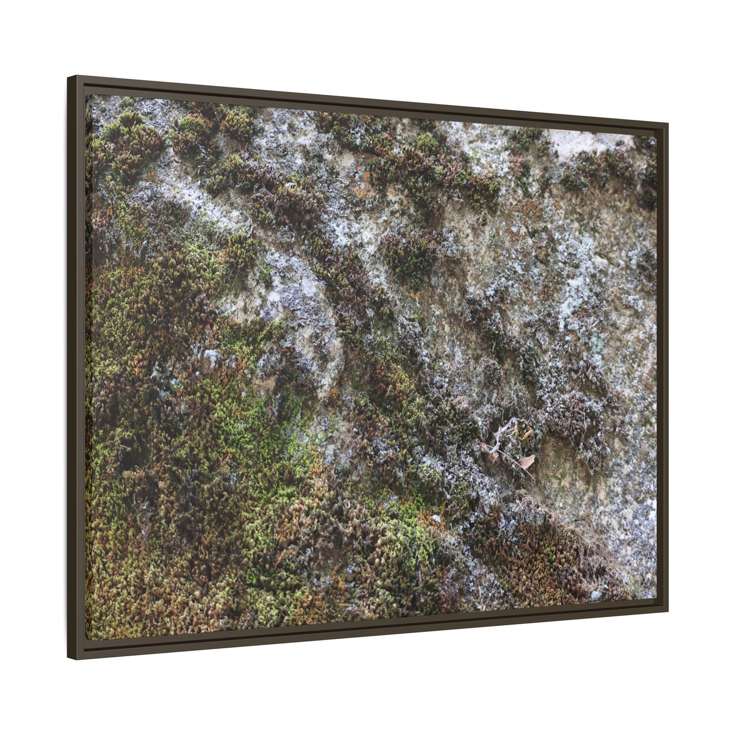 Mossy Whispers - Unique Stretched Canvas Wall Art